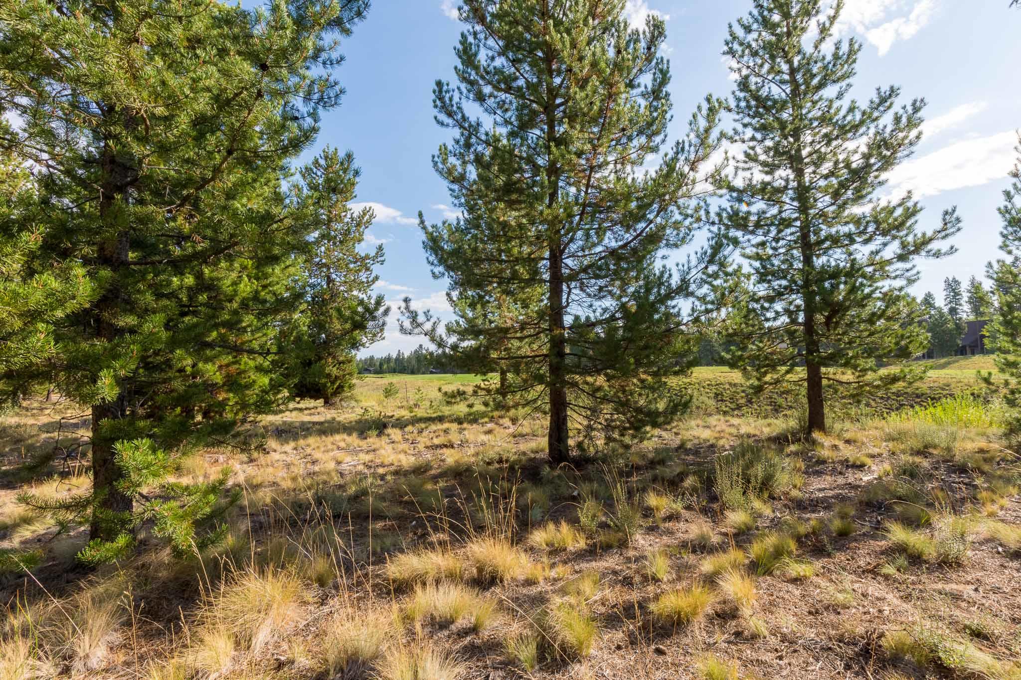 Caldera Springs - Land