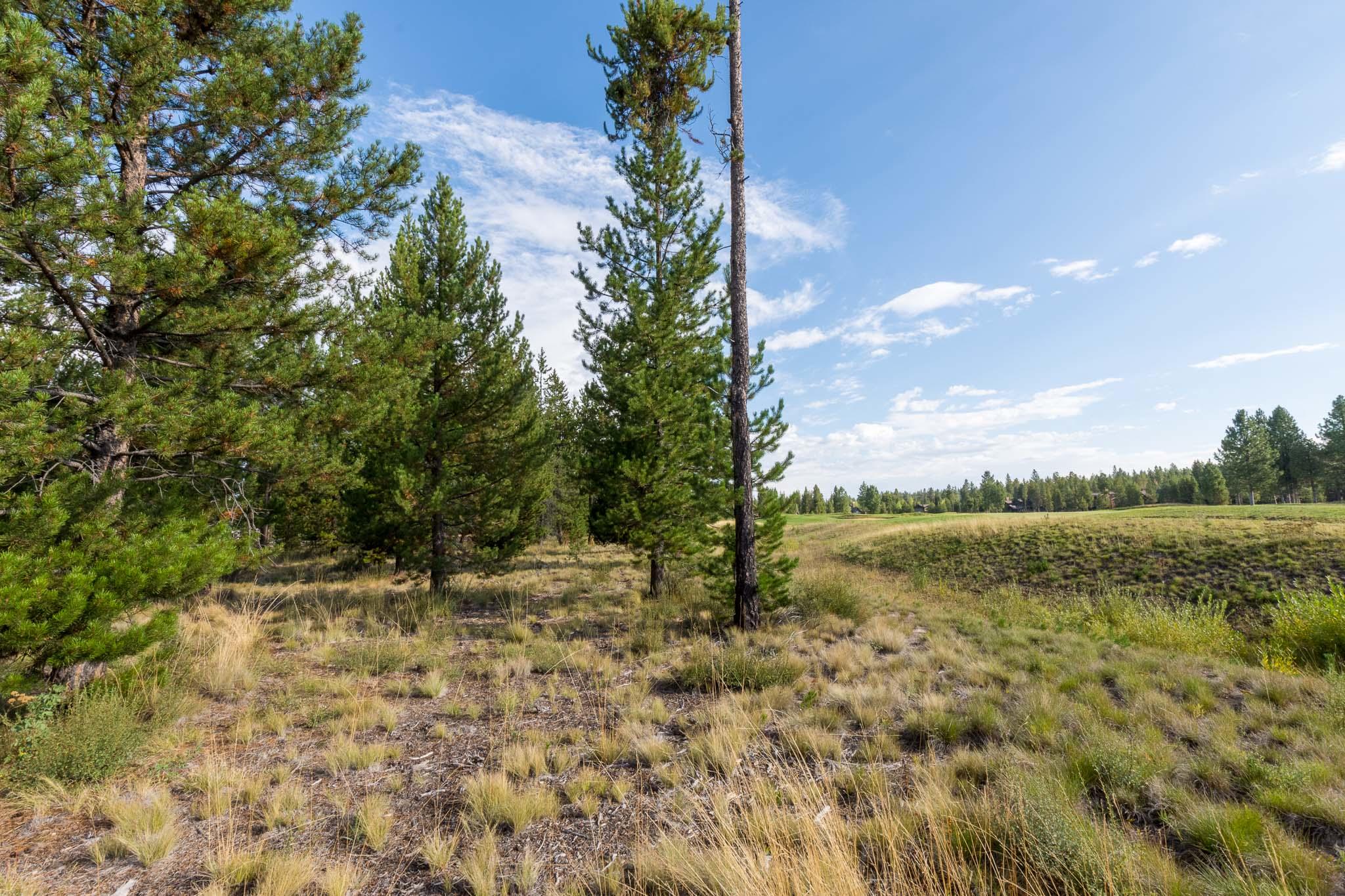 Caldera Springs - Land
