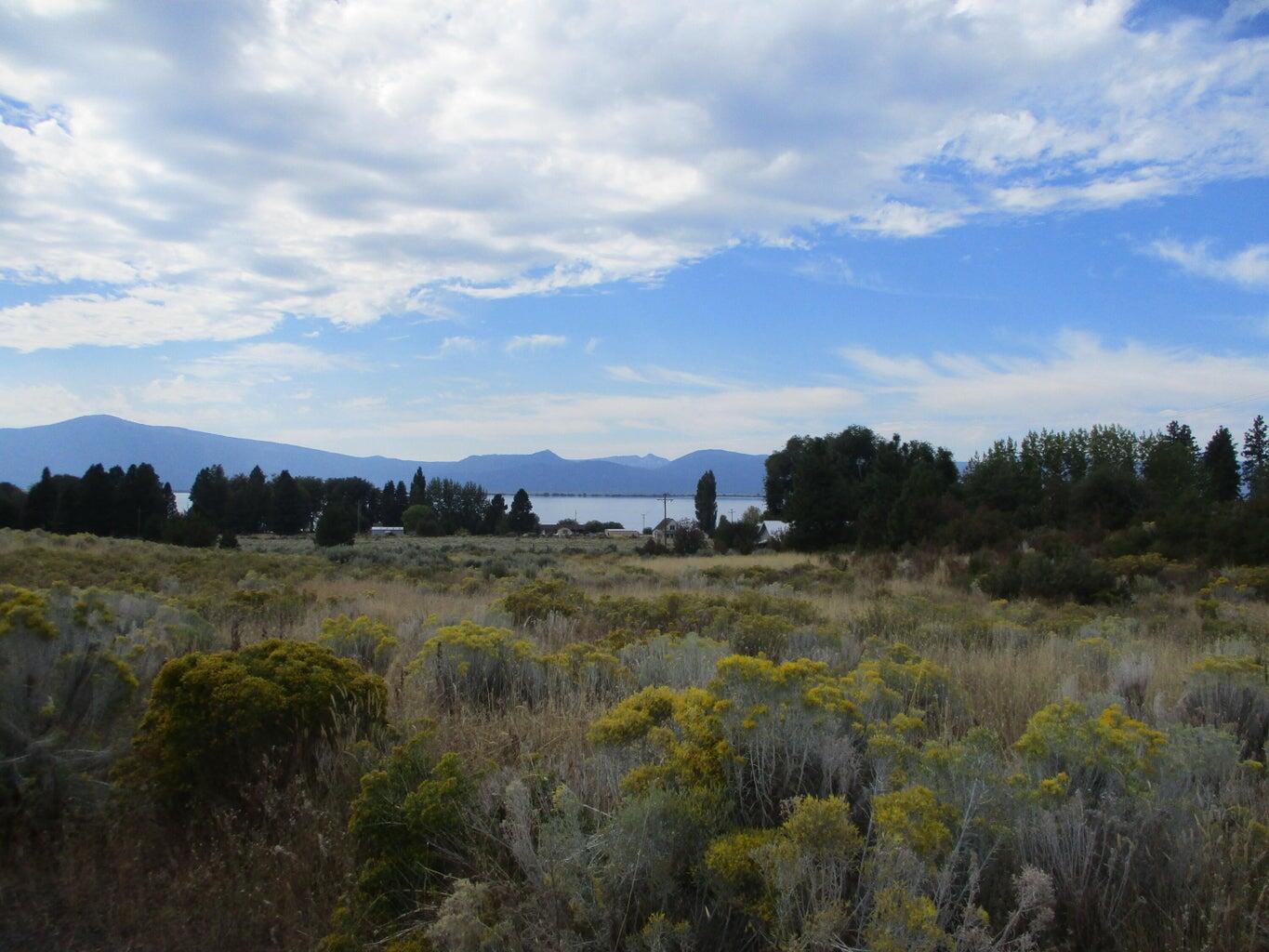 Monte Vista Ranch - Land