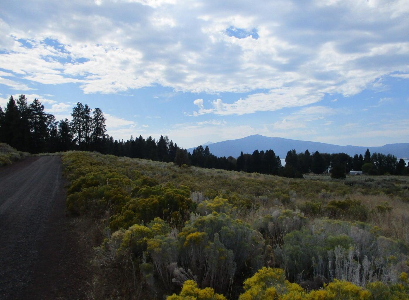 Monte Vista Ranch - Land