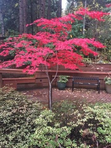 Albert C. Meyer Subdivision - Residential