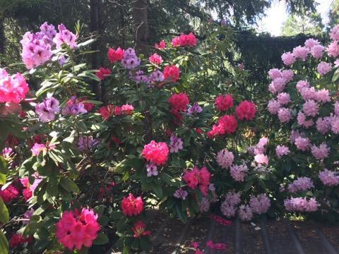 Albert C. Meyer Subdivision - Residential