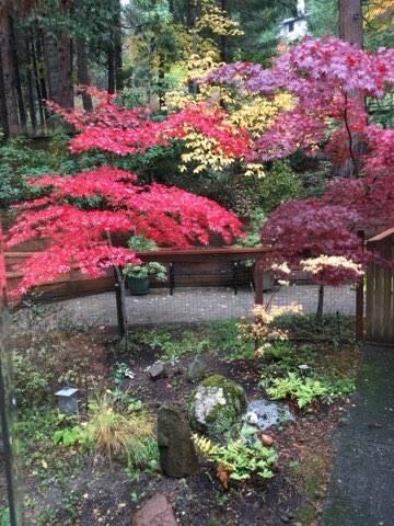 Albert C. Meyer Subdivision - Residential