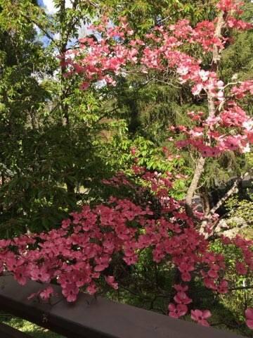 Albert C. Meyer Subdivision - Residential