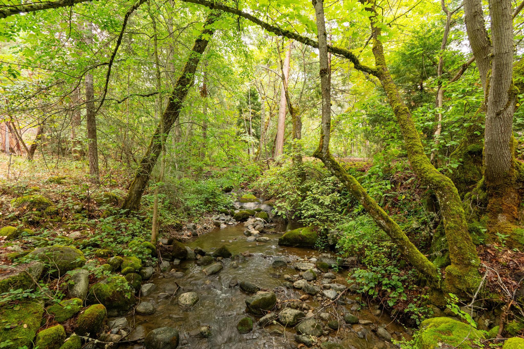 Albert C. Meyer Subdivision - Residential