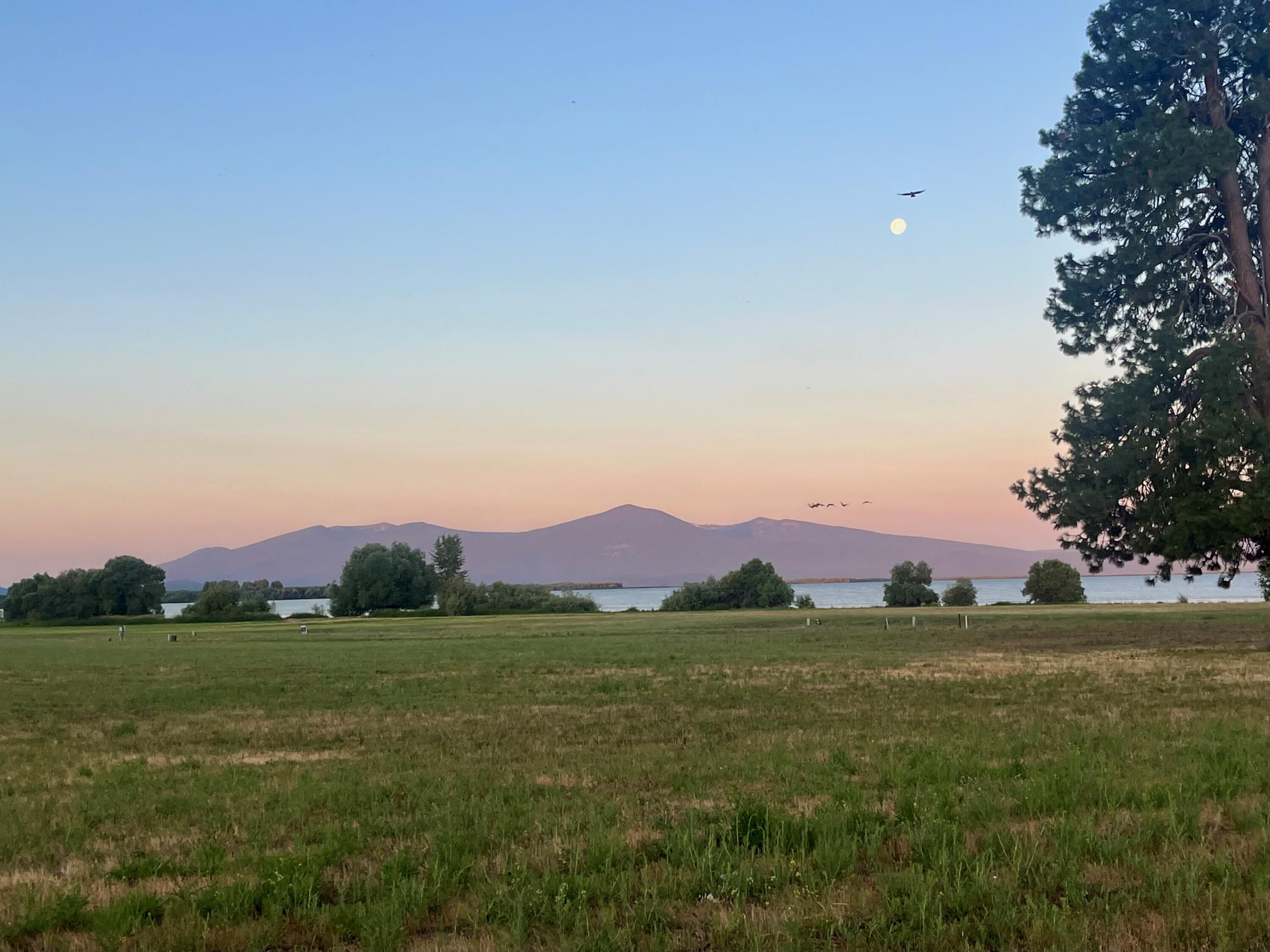 Agency Lakeshore Estates - Land