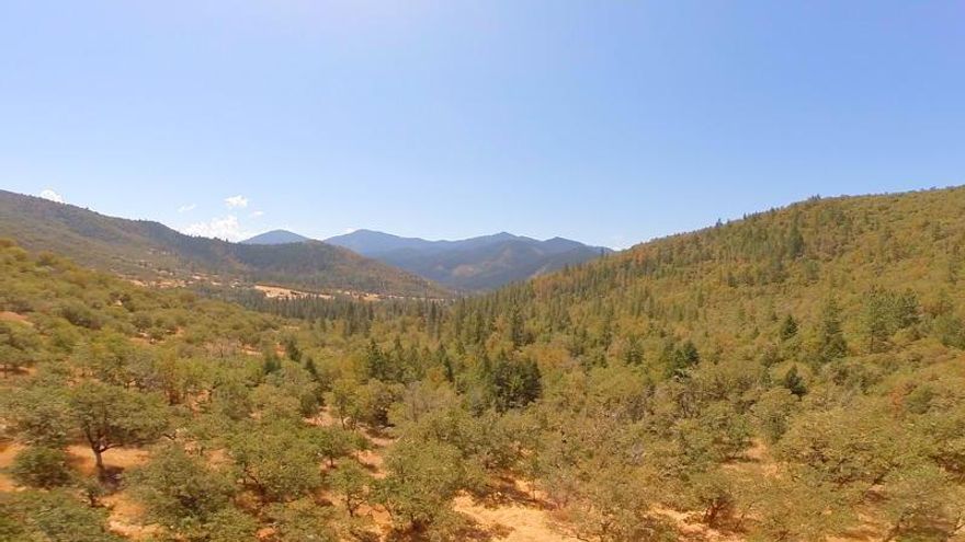 Sold Only - 22.63 acres with pending homesite approval.