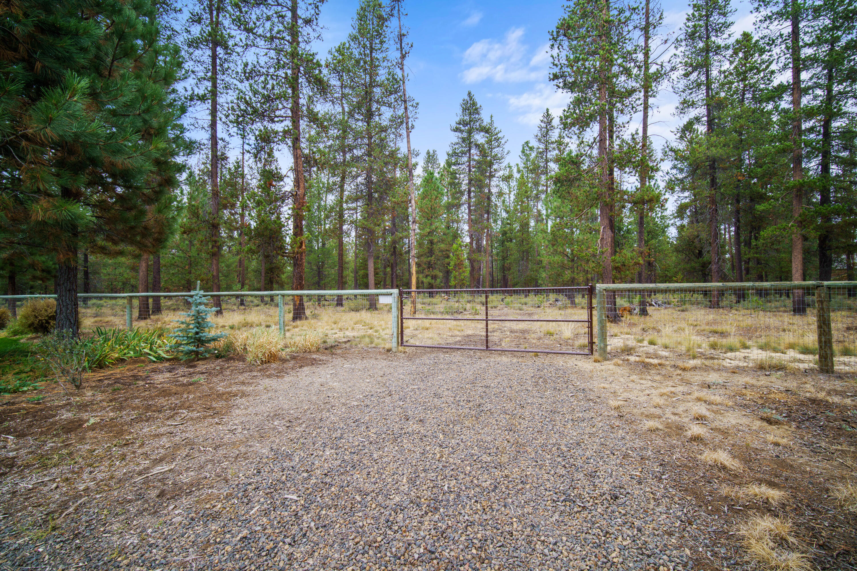 Forest View - Residential