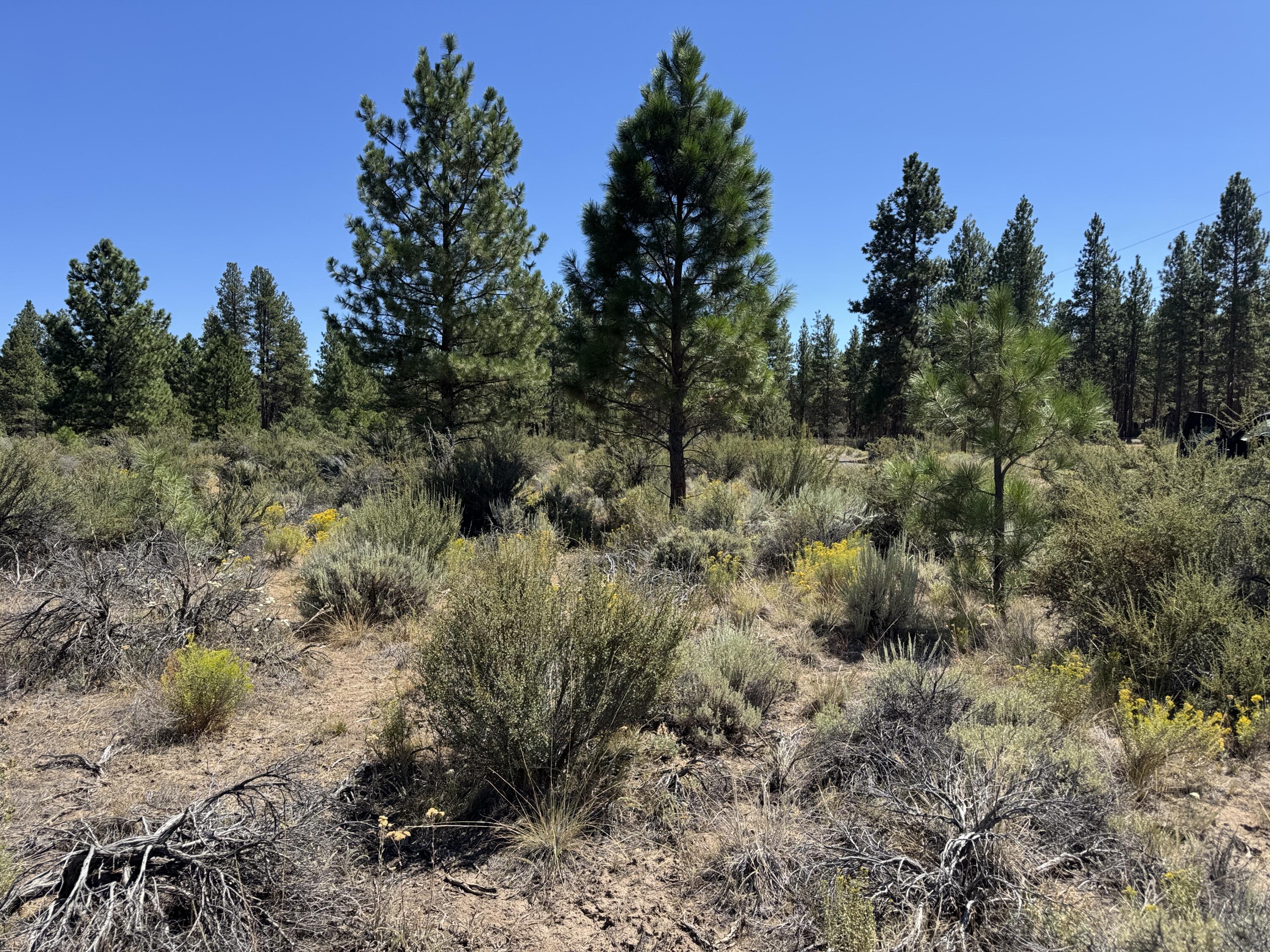 Klamath Forest Estates - Land