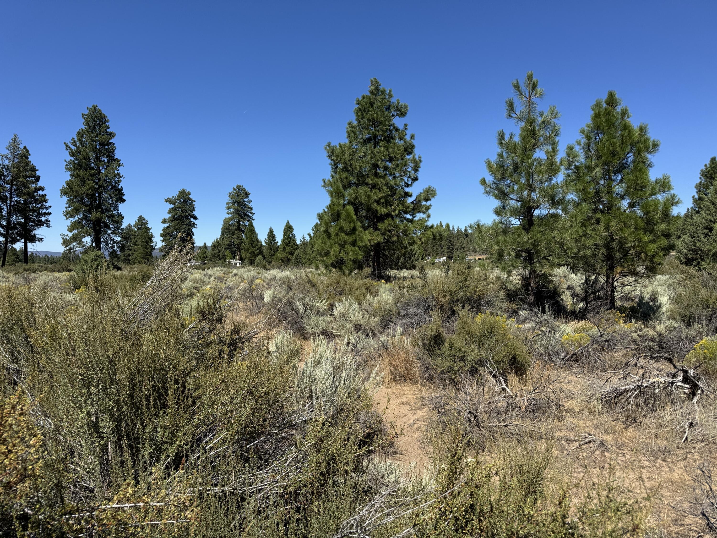 Klamath Forest Estates - Land