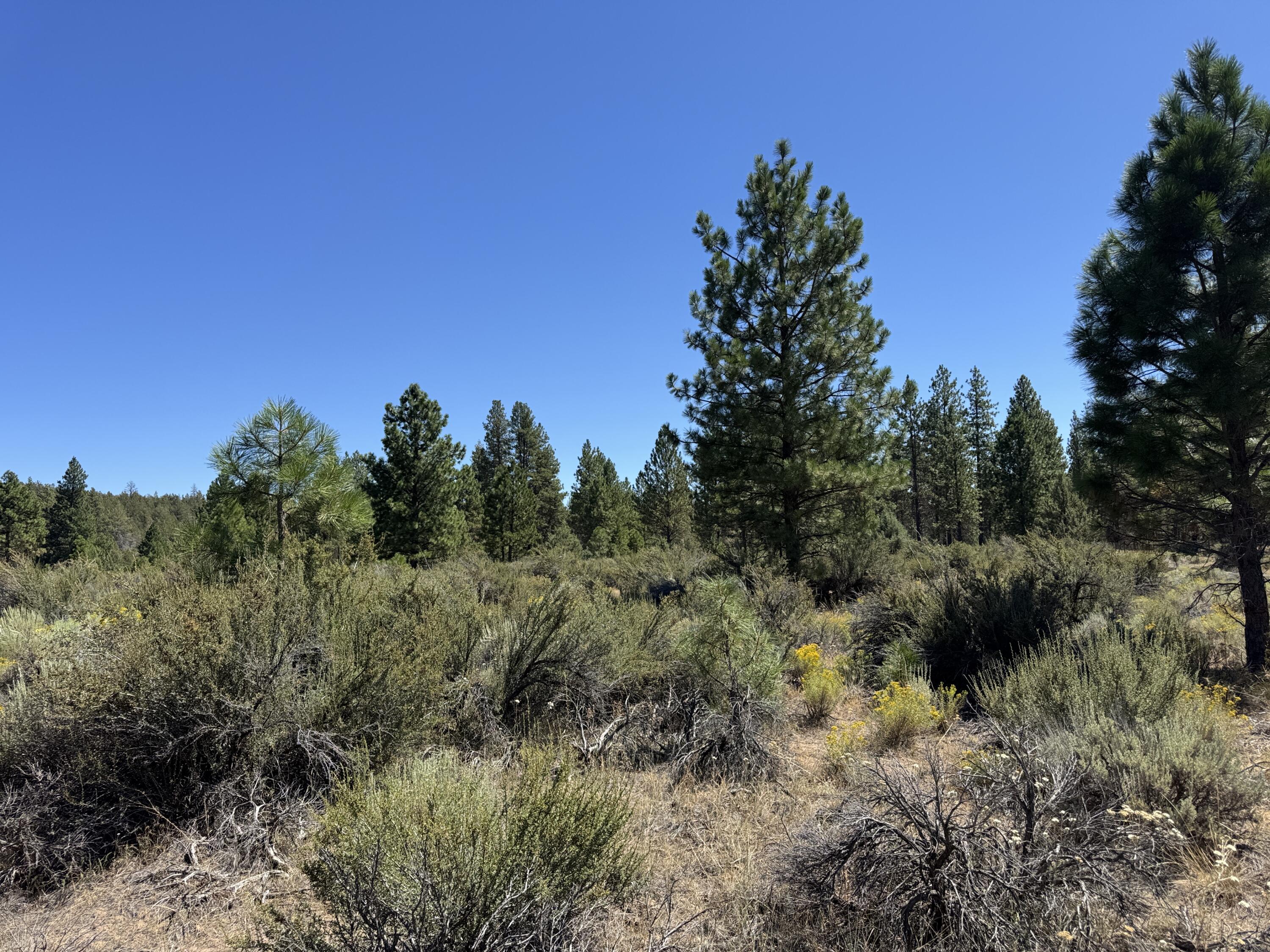Klamath Forest Estates - Land