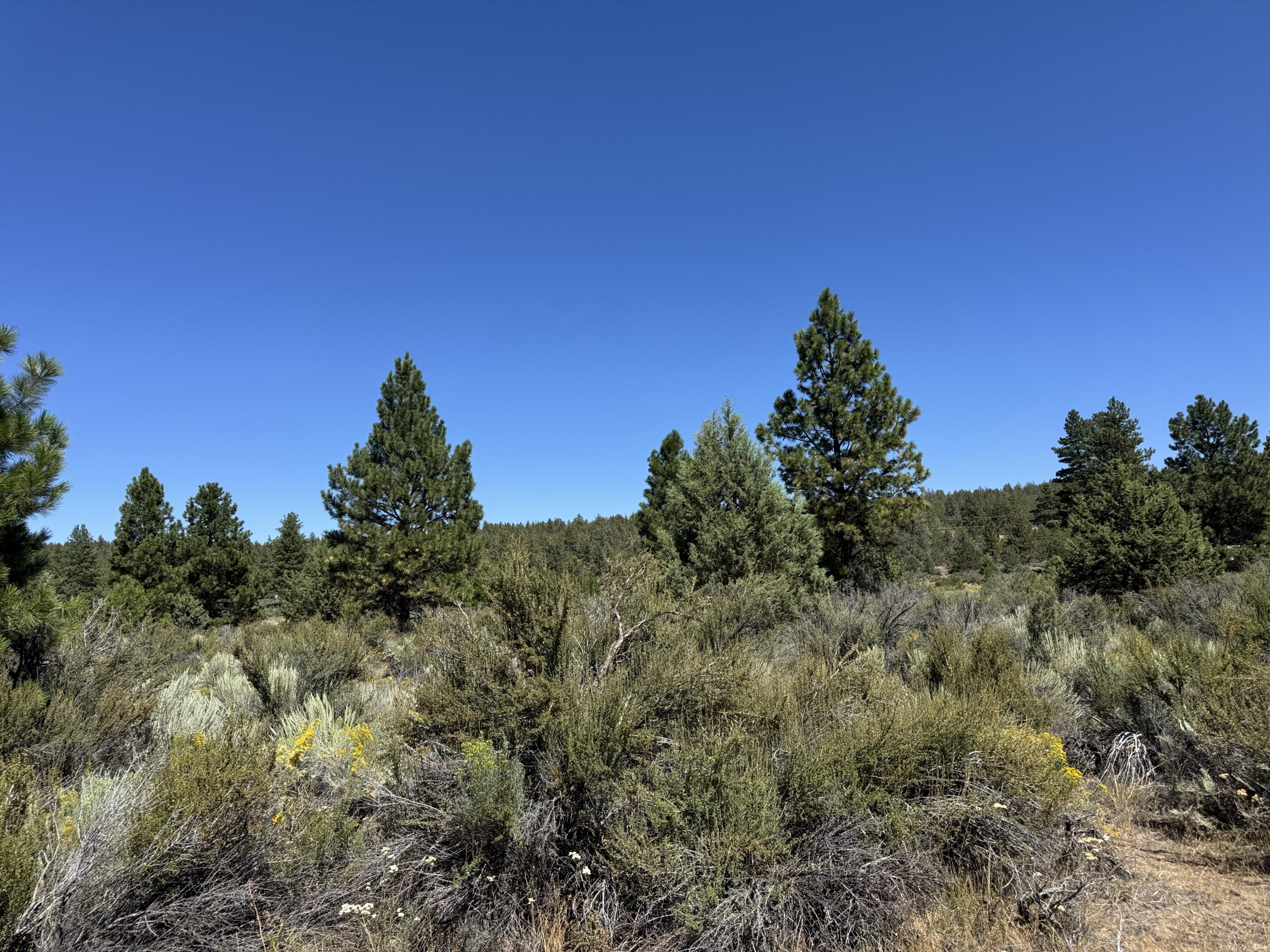 Klamath Forest Estates - Land