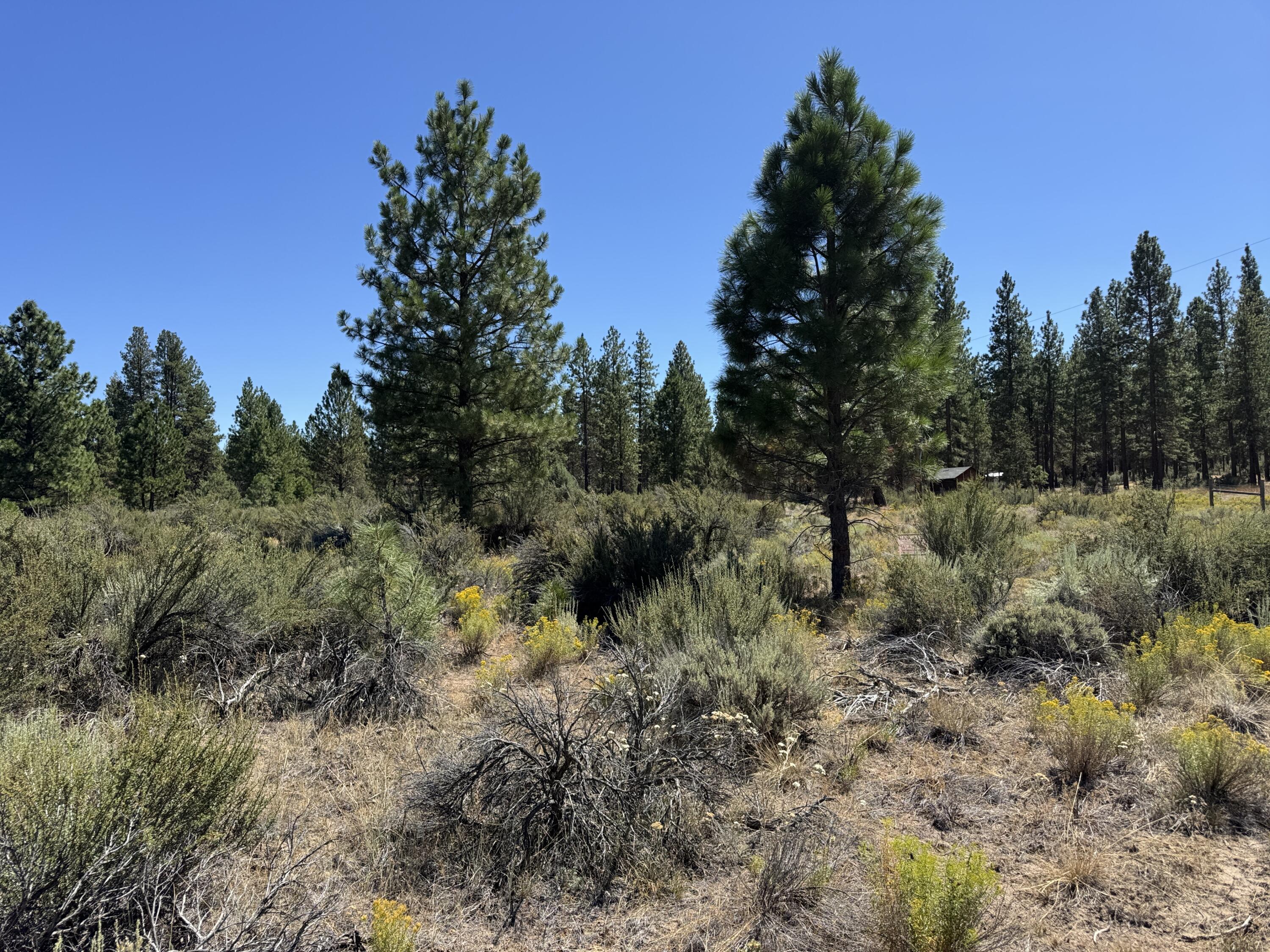 Klamath Forest Estates - Land