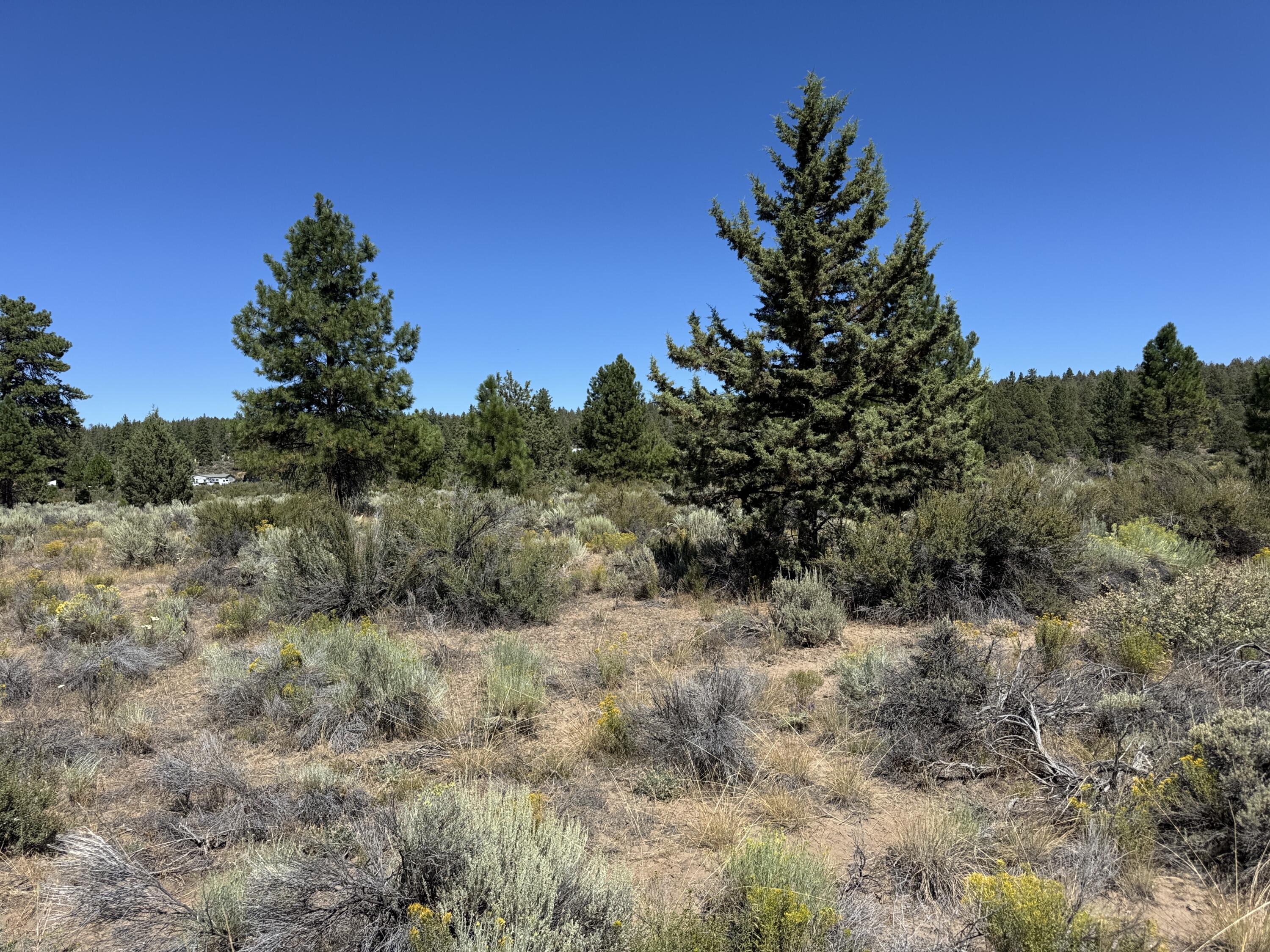 Klamath Forest Estates - Land