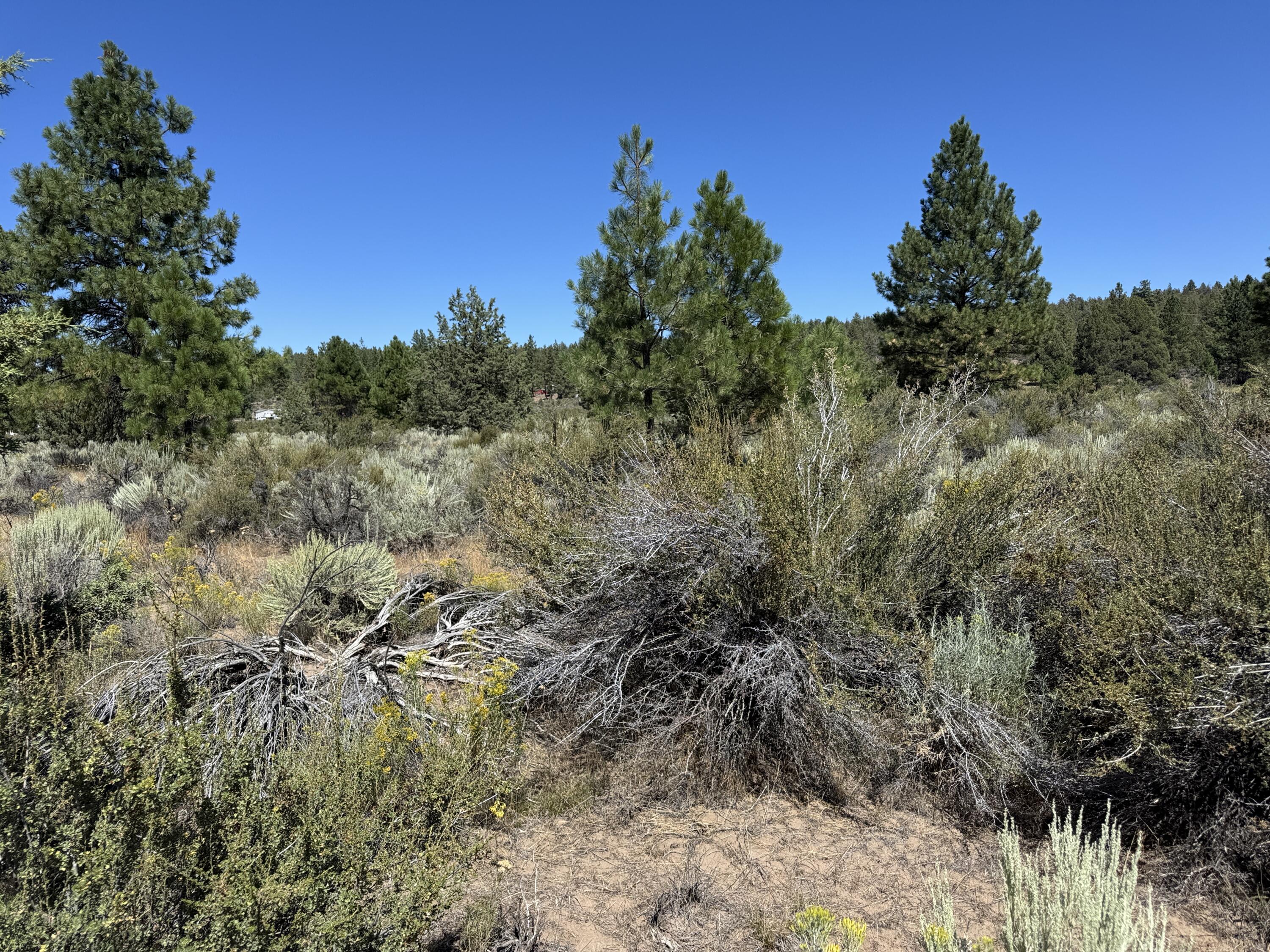 Klamath Forest Estates - Land