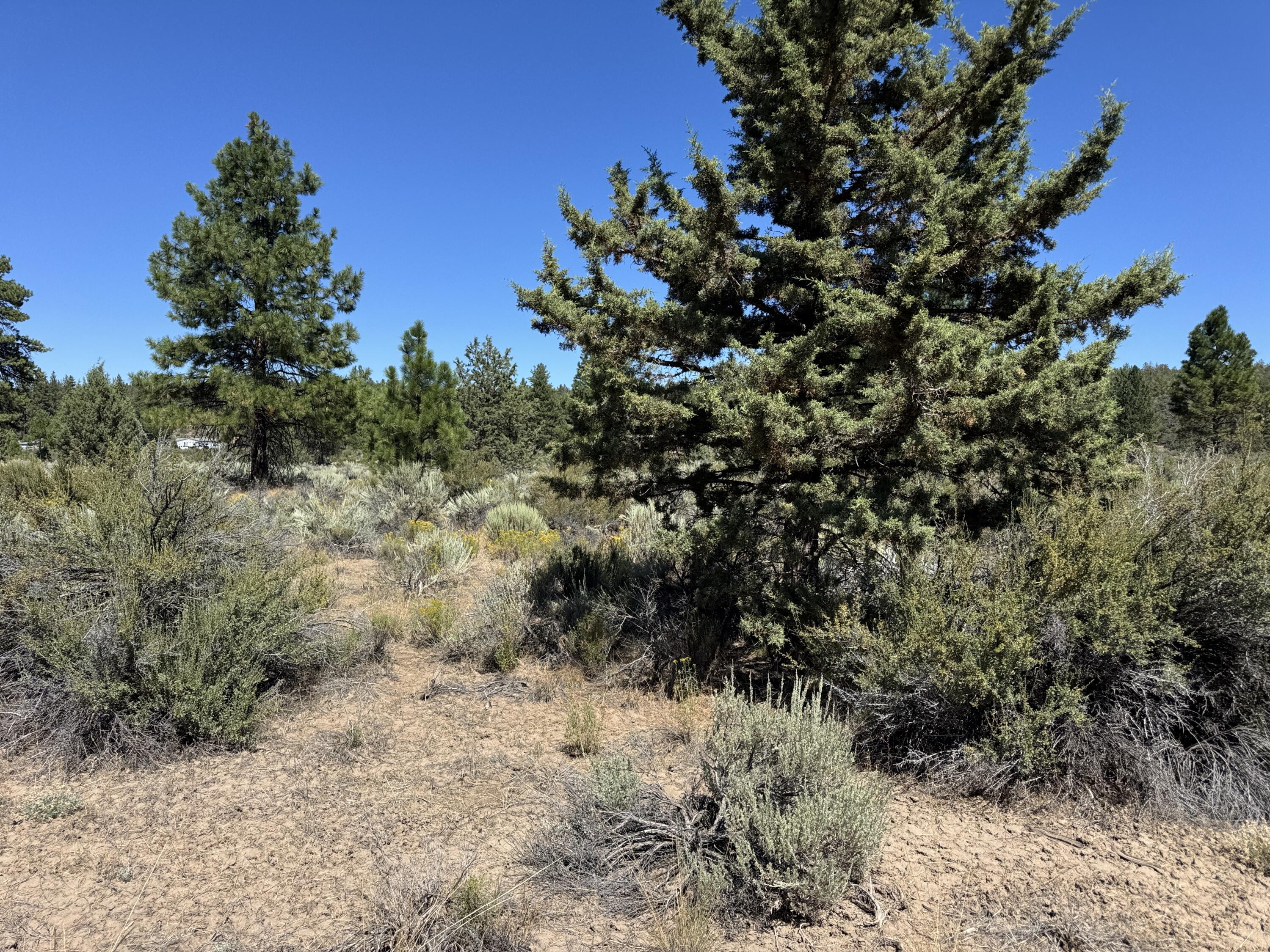 Klamath Forest Estates - Land