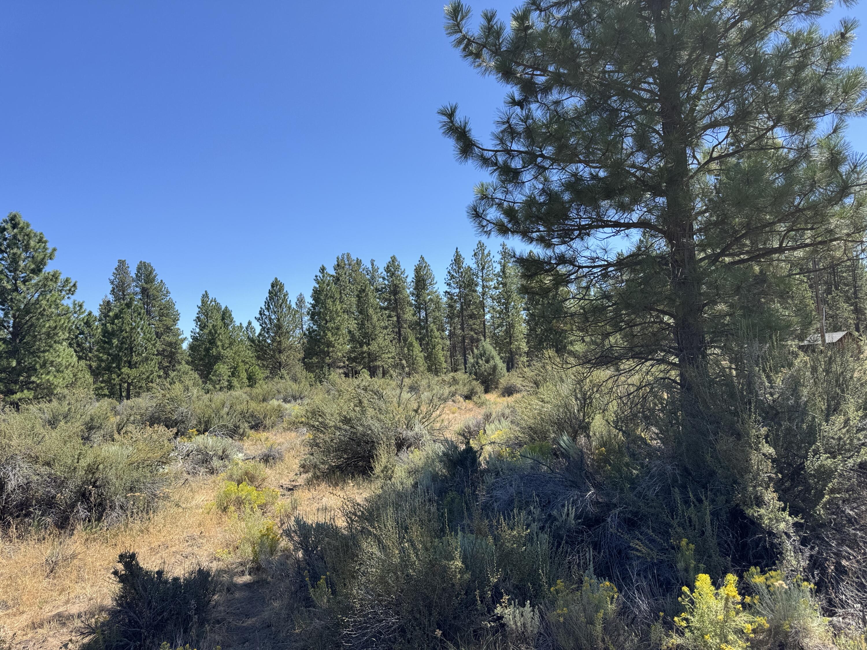 Klamath Forest Estates - Land