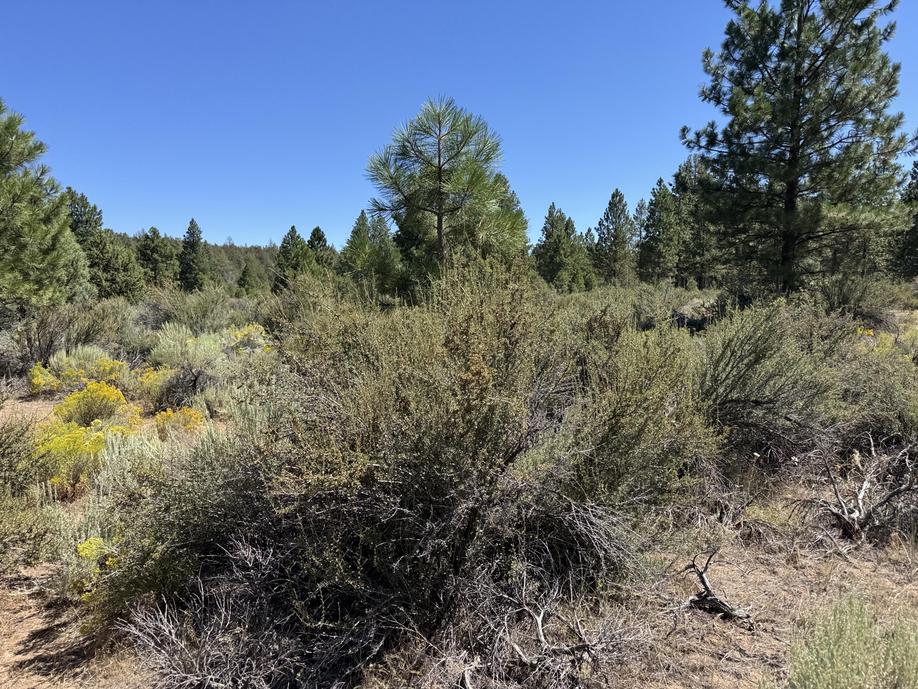 Klamath Forest Estates - Land