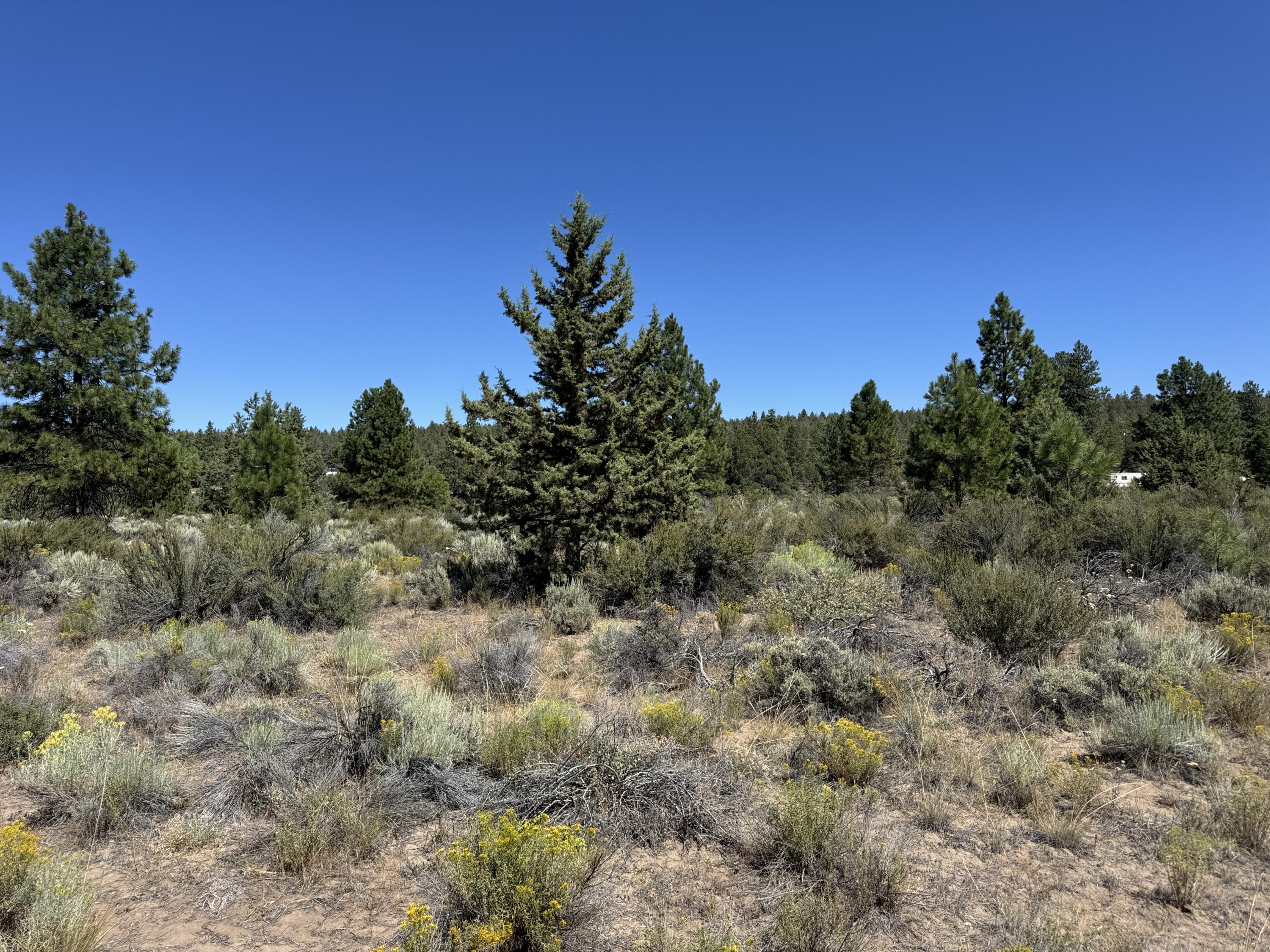 Klamath Forest Estates - Land
