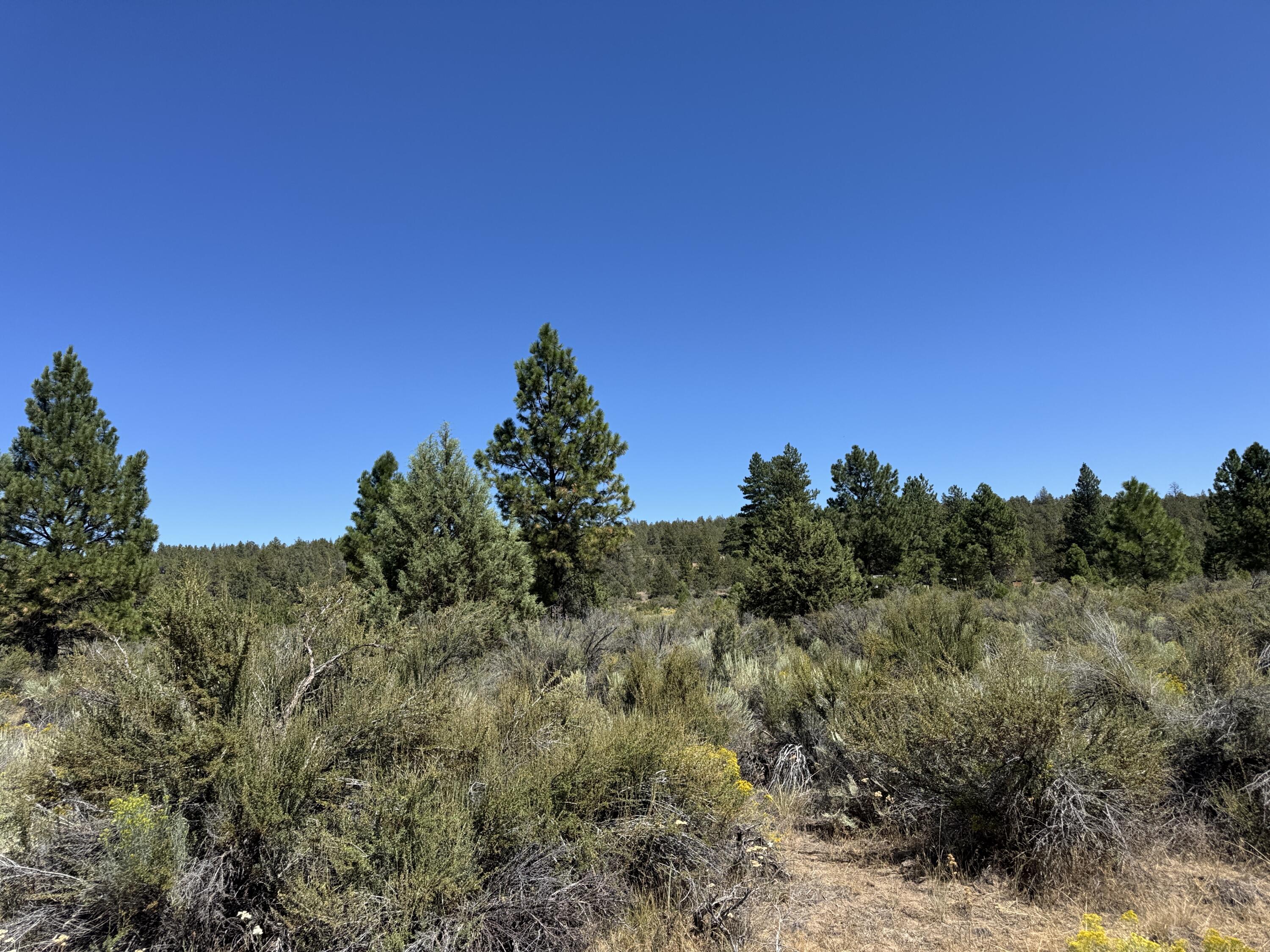 Klamath Forest Estates - Land