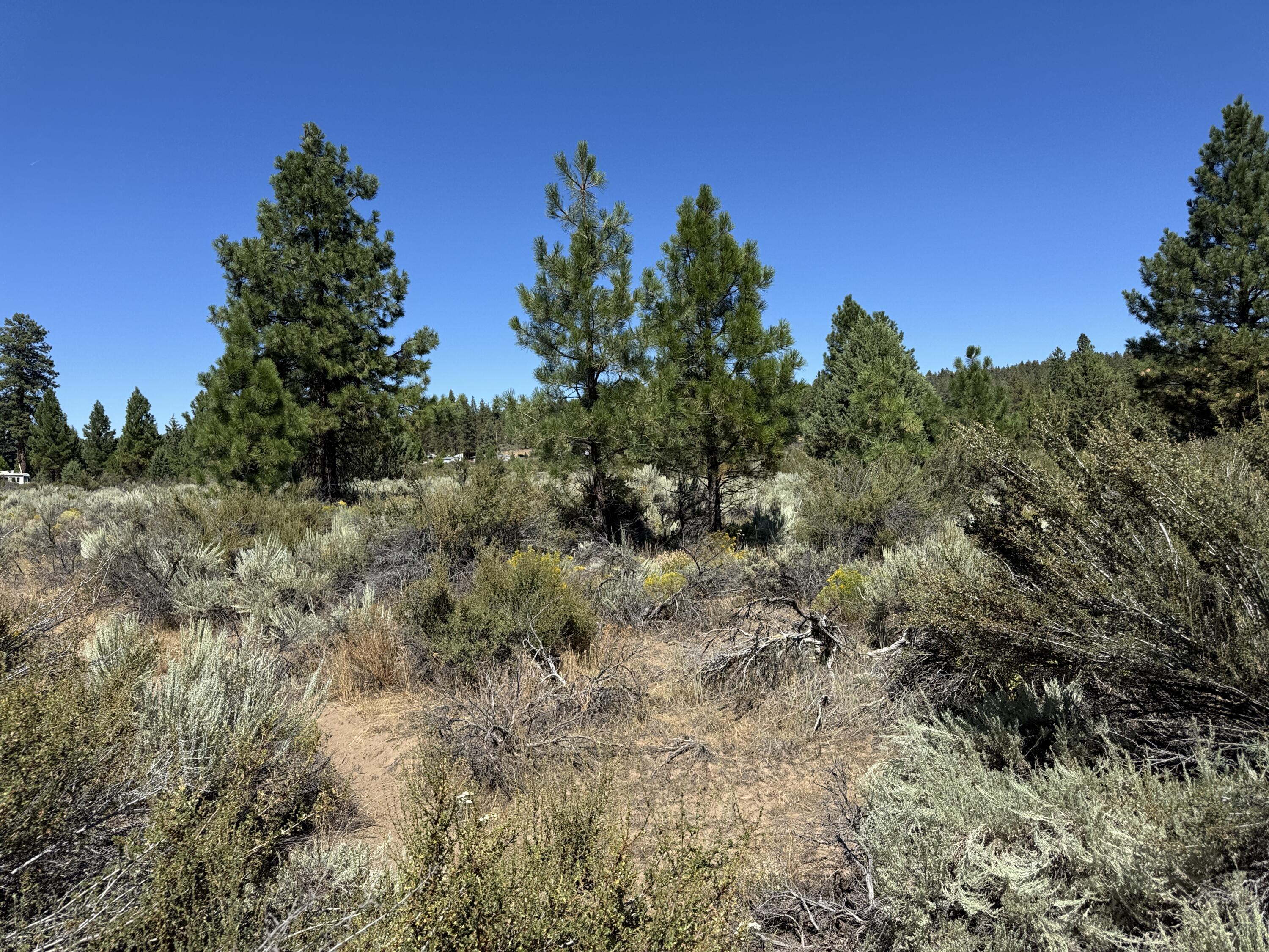 Klamath Forest Estates - Land