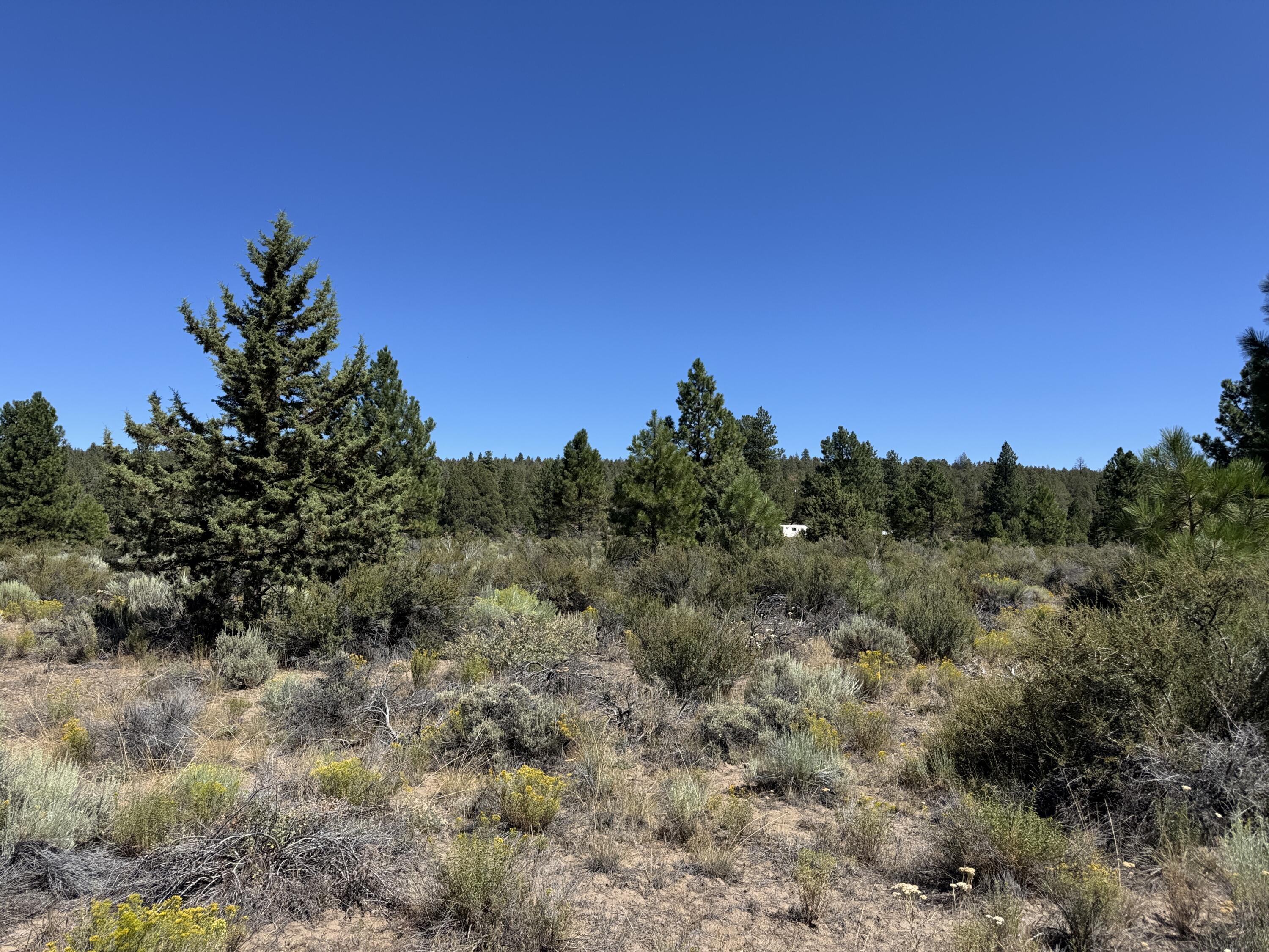 Klamath Forest Estates - Land