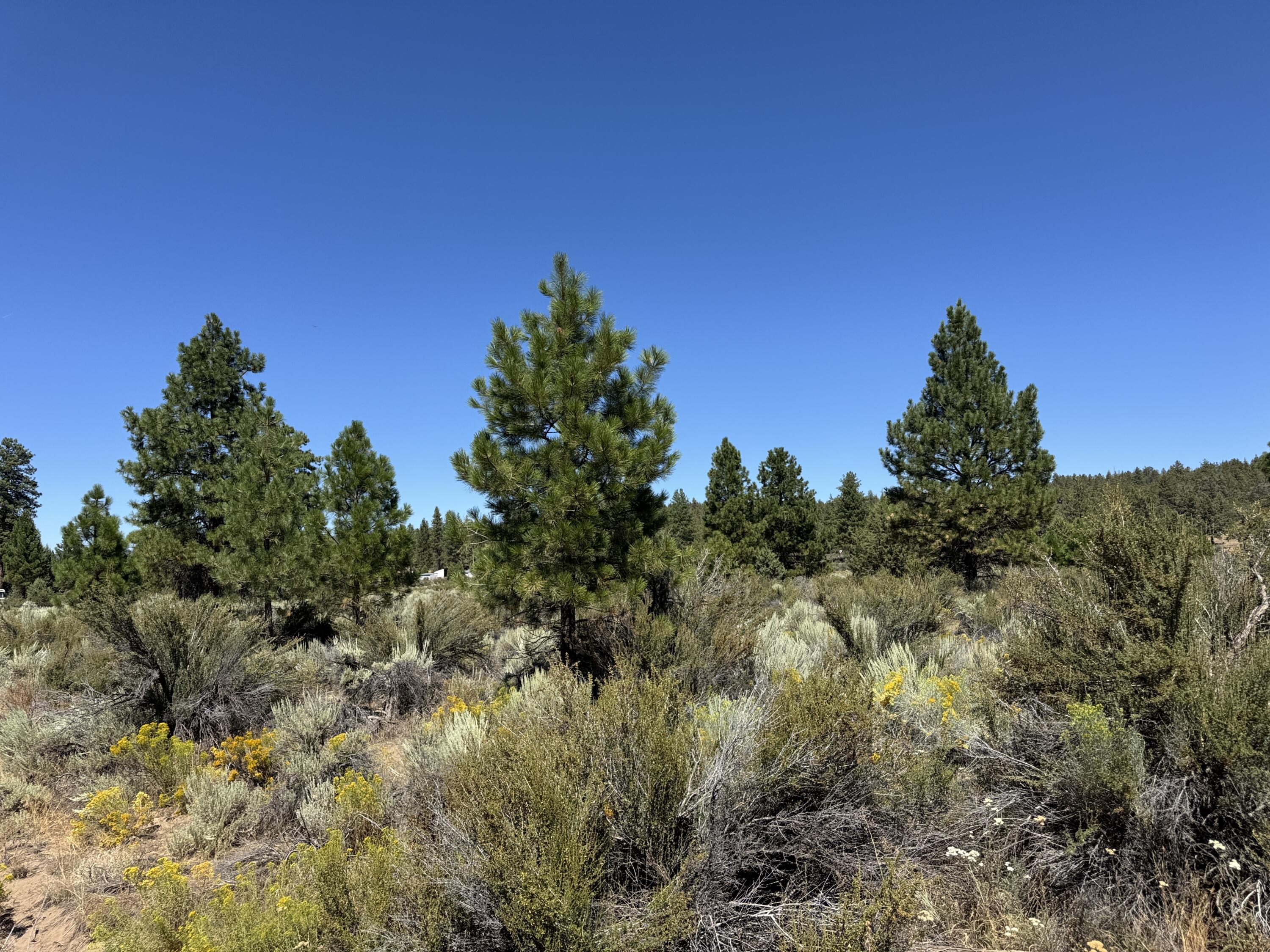 Klamath Forest Estates - Land