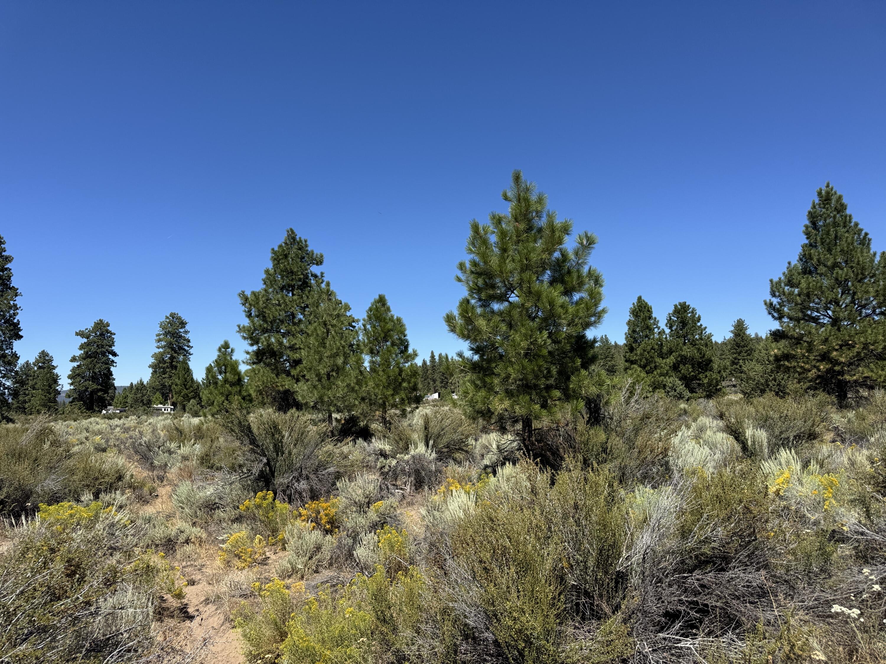 Klamath Forest Estates - Land