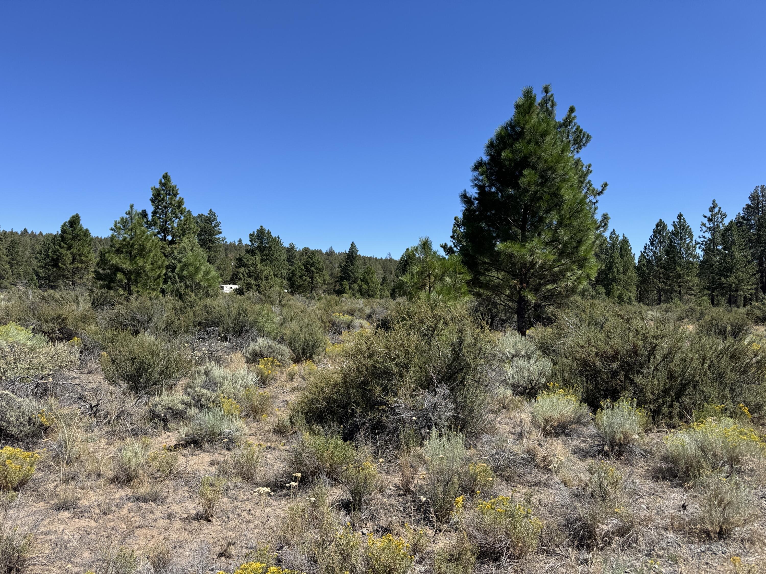 Klamath Forest Estates - Land