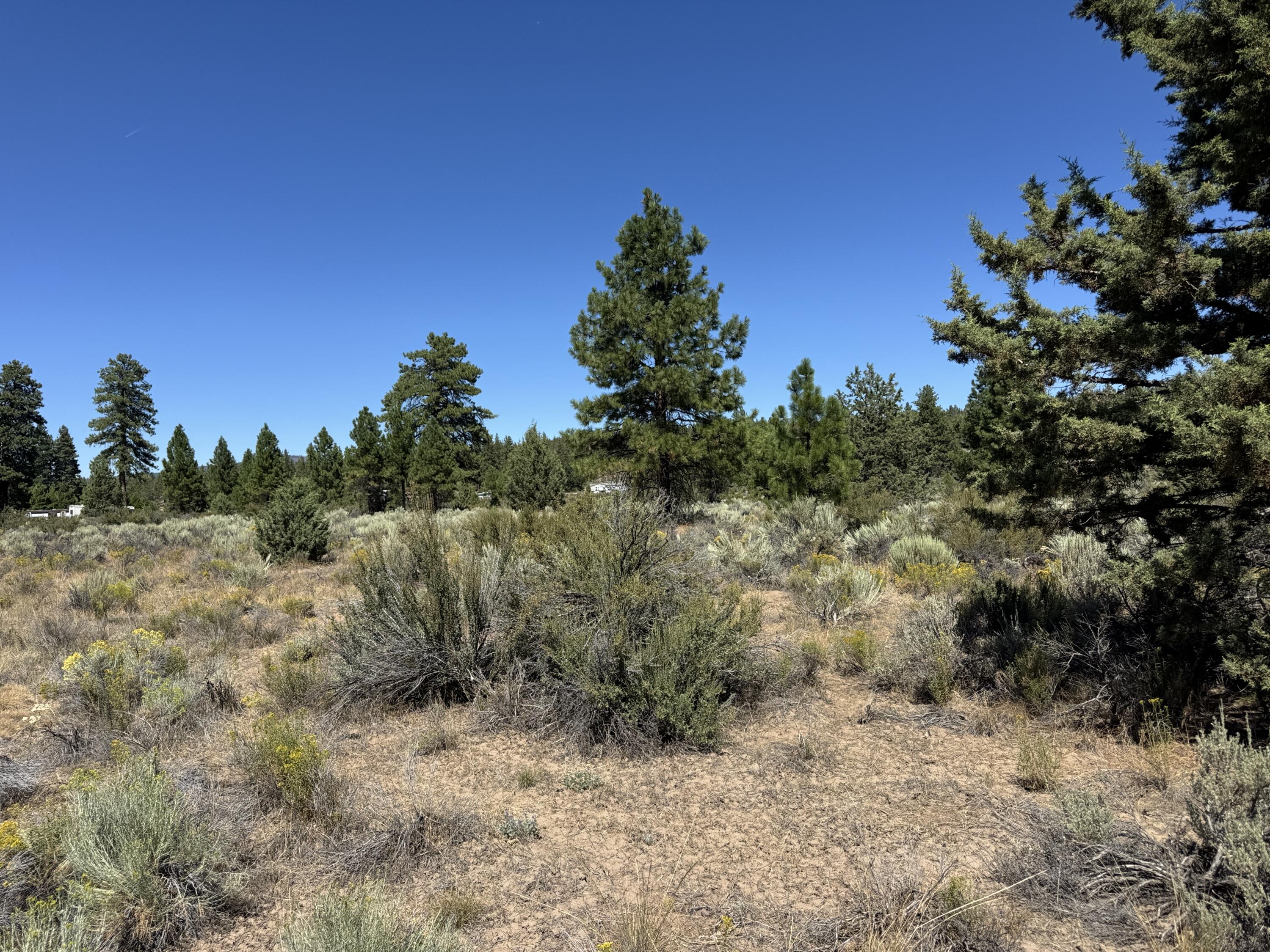 Klamath Forest Estates - Land