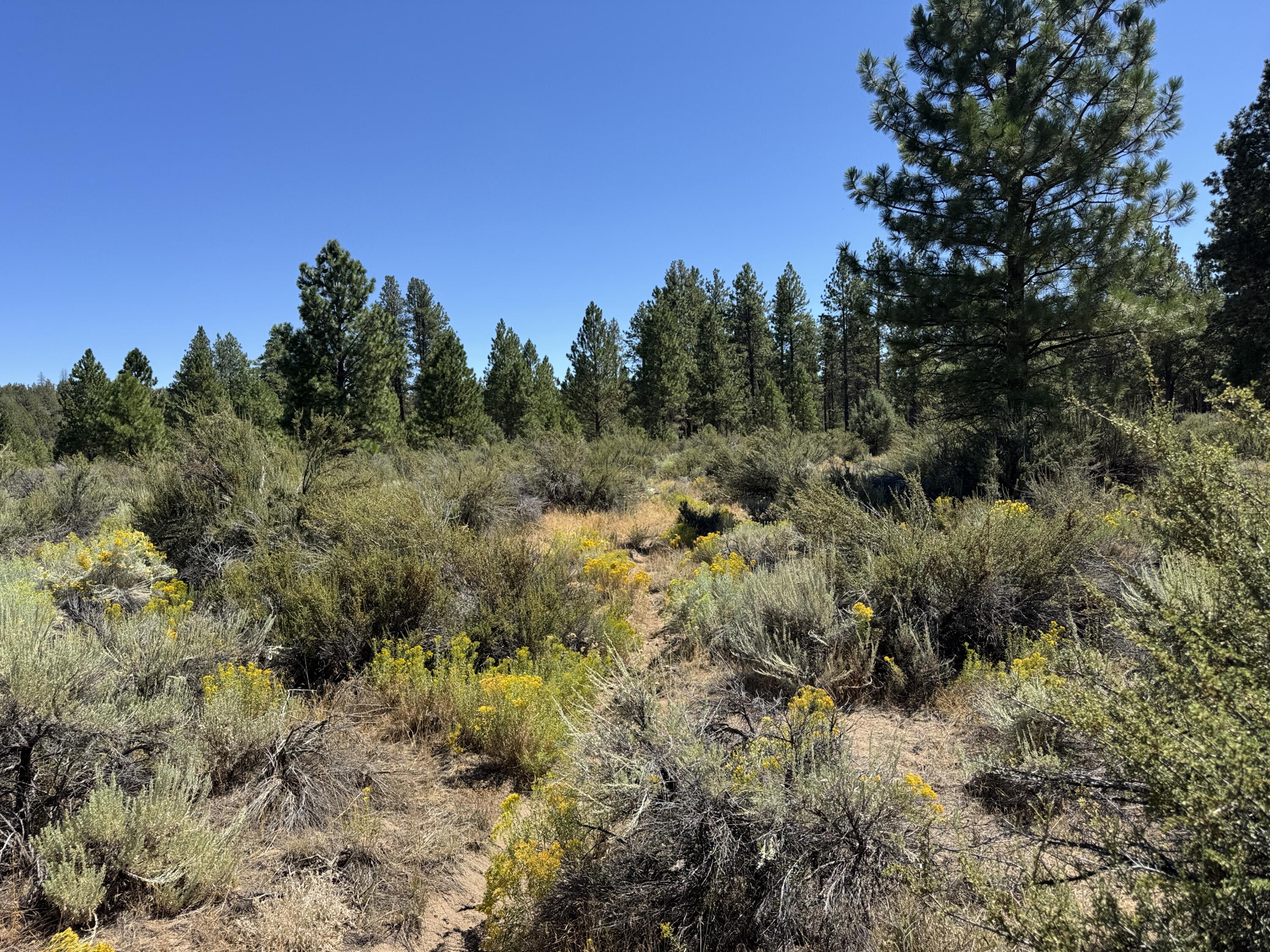 Klamath Forest Estates - Land