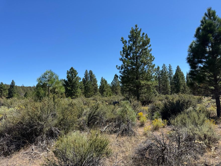 Beautiful treed parcel with excellent packed gravel roads and power along the edge of the property. Light brush coverage, and this flat parcel is perfect for development—featuring several large, healthy pine trees. This parcel is a very desirable parcel in a great developed area of nice homes. Come check it out.