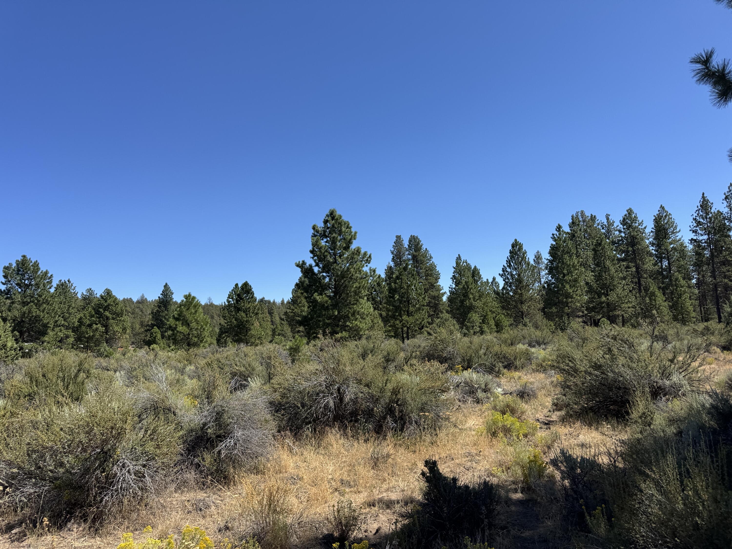Klamath Forest Estates - Land
