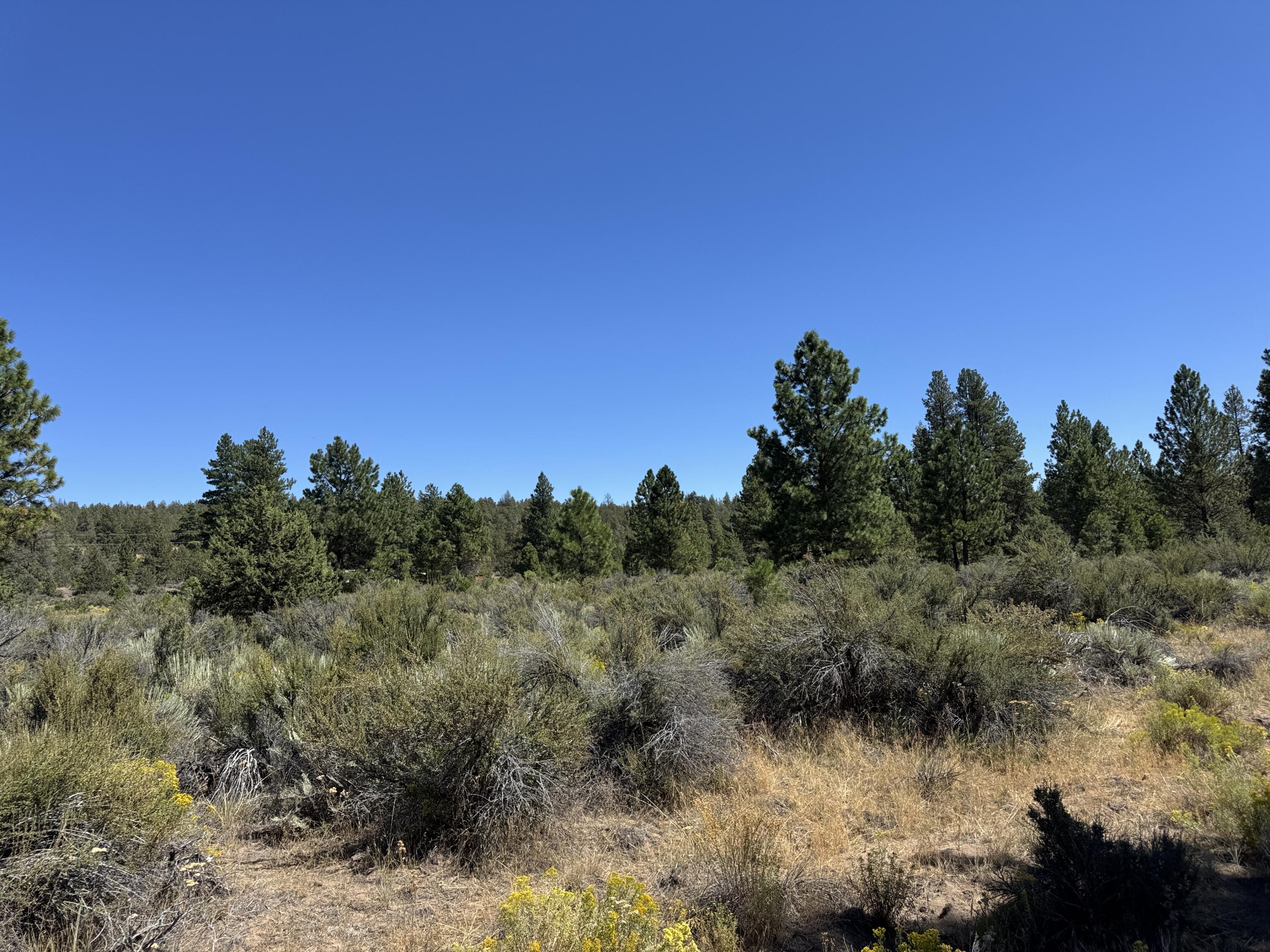 Klamath Forest Estates - Land