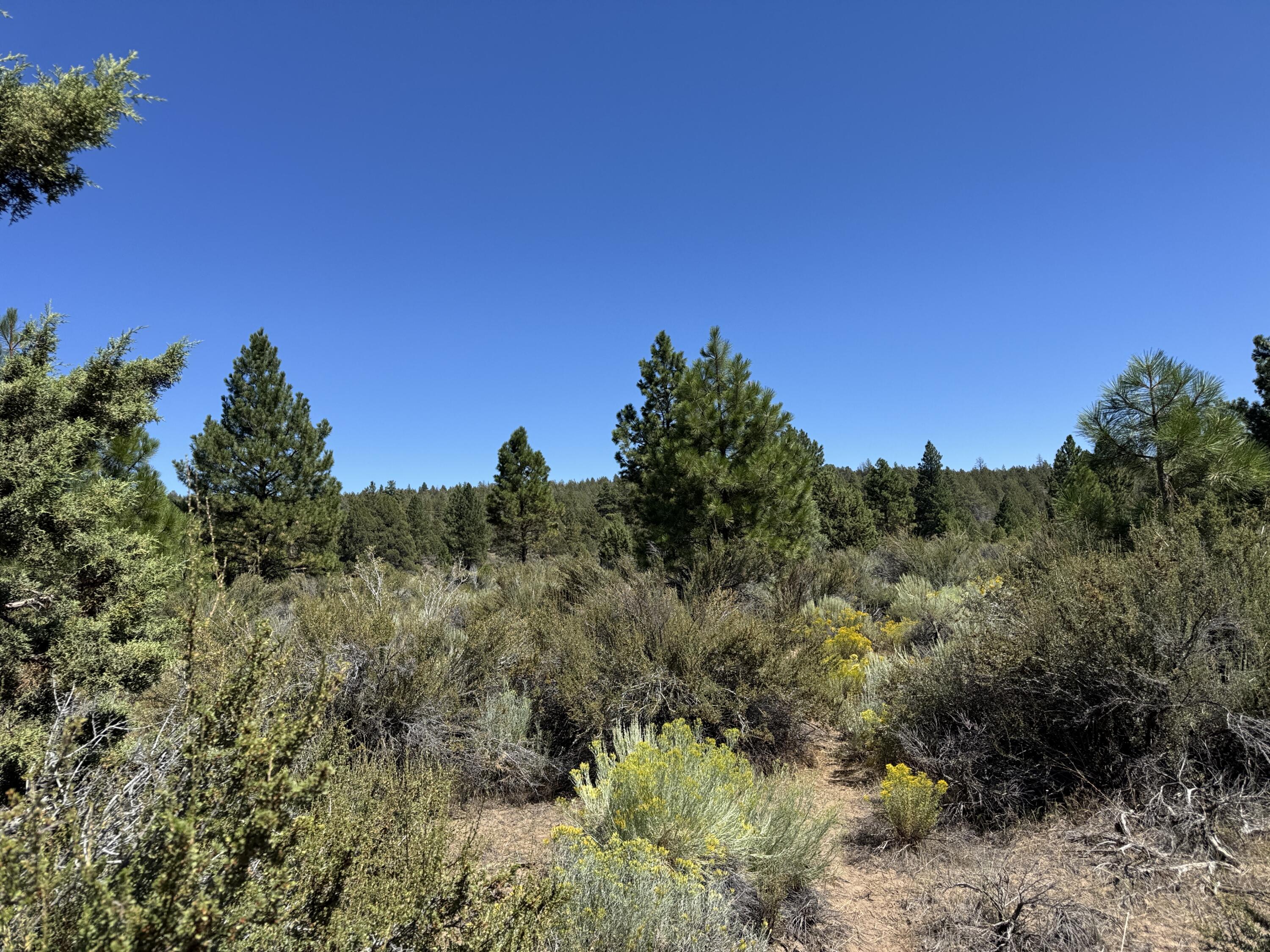 Klamath Forest Estates - Land