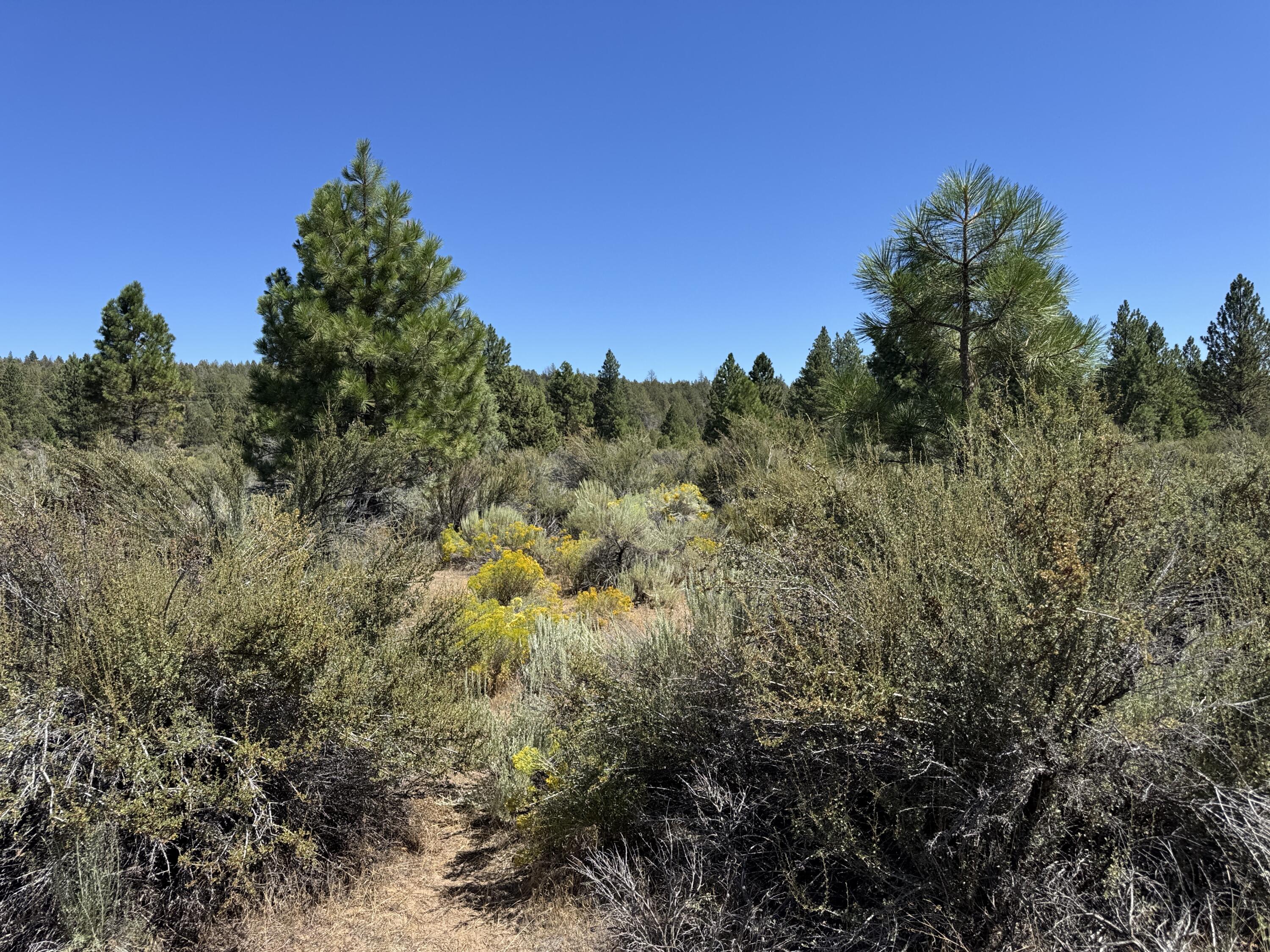 Klamath Forest Estates - Land