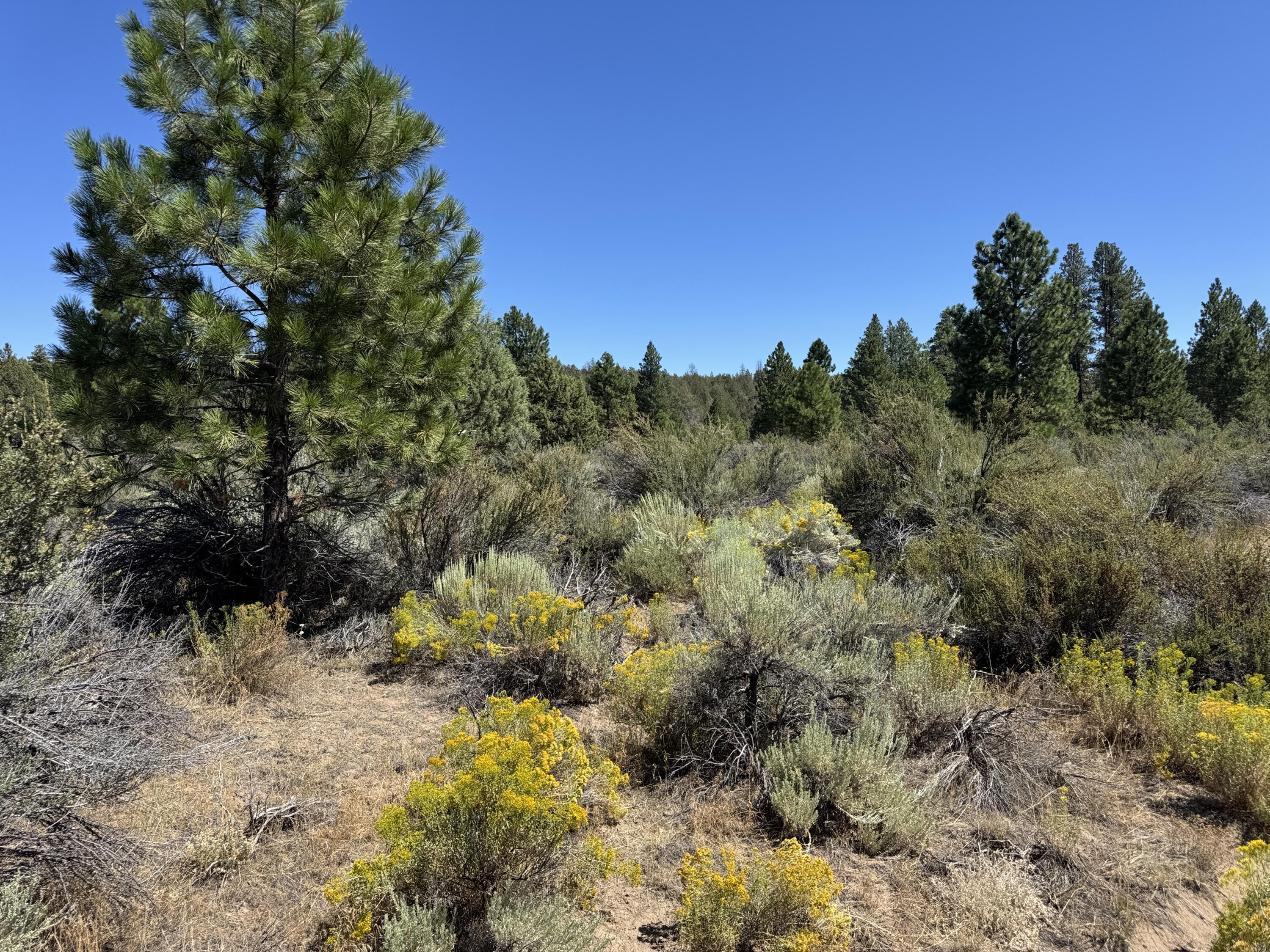 Klamath Forest Estates - Land