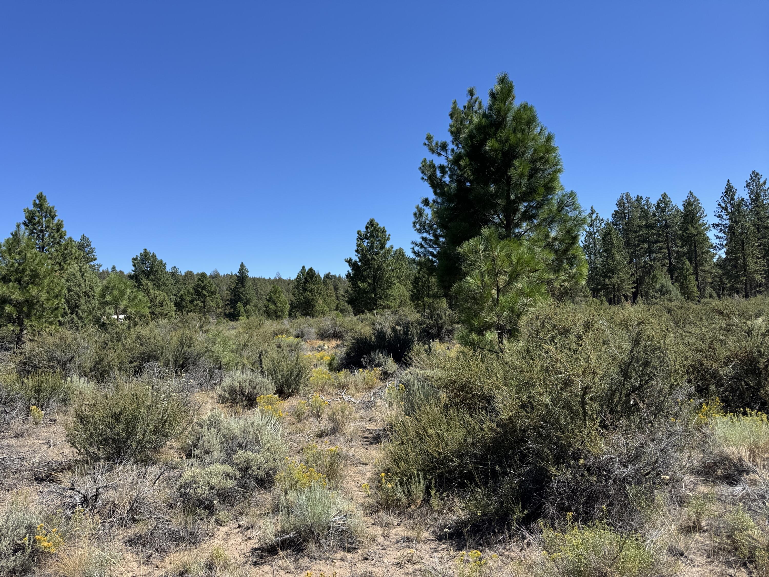 Klamath Forest Estates - Land
