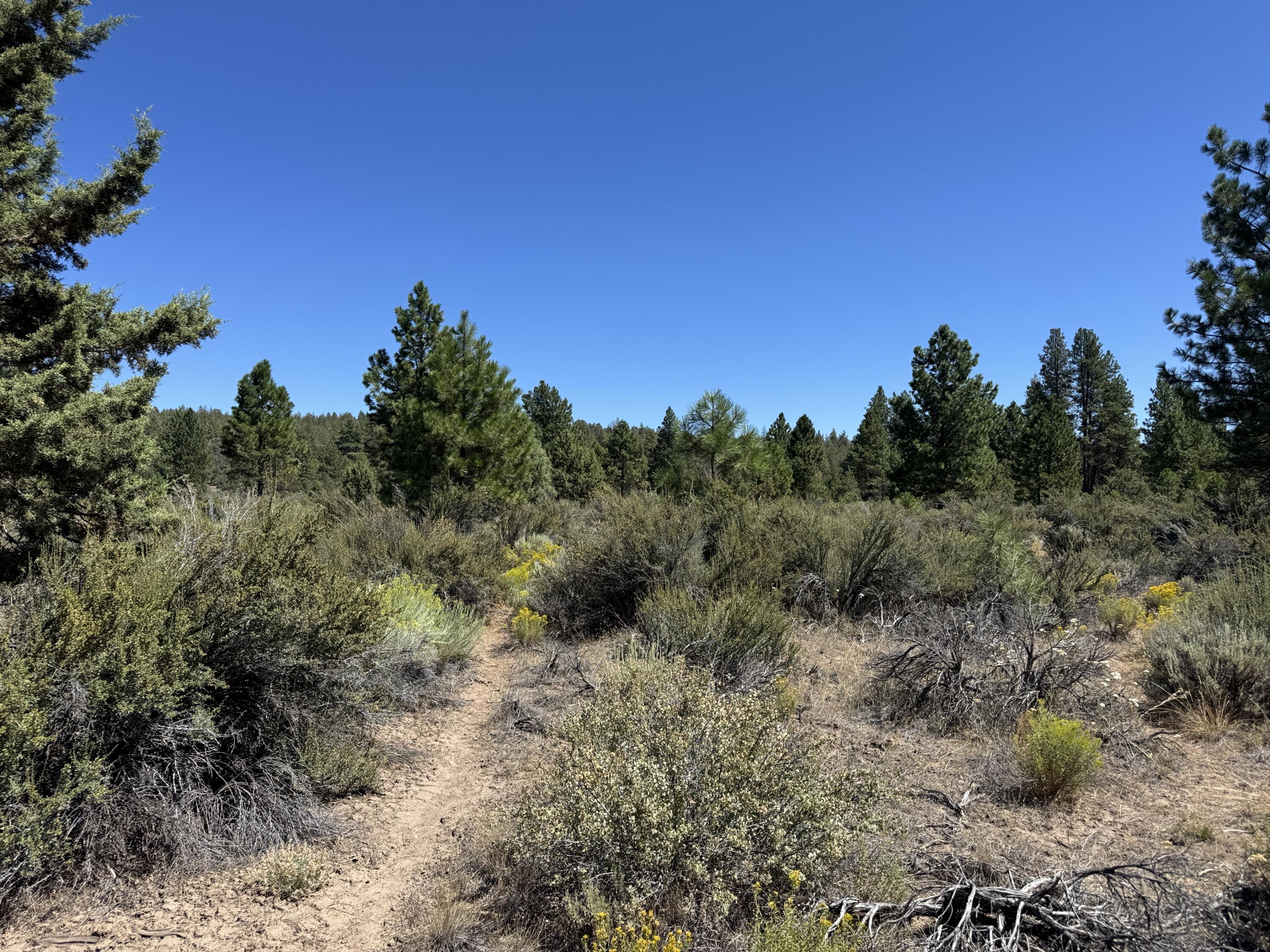Klamath Forest Estates - Land