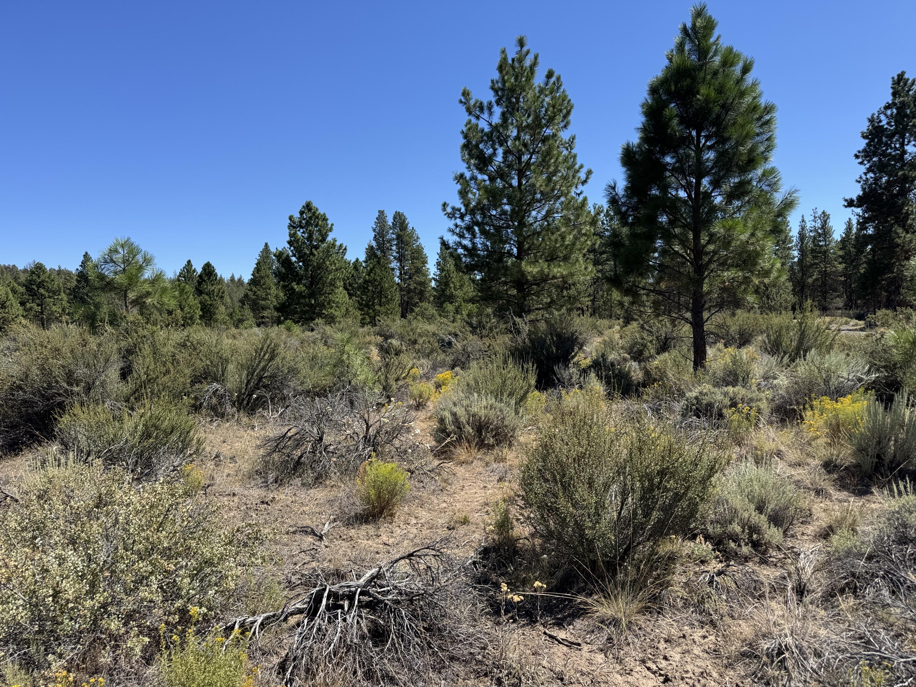 Klamath Forest Estates - Land