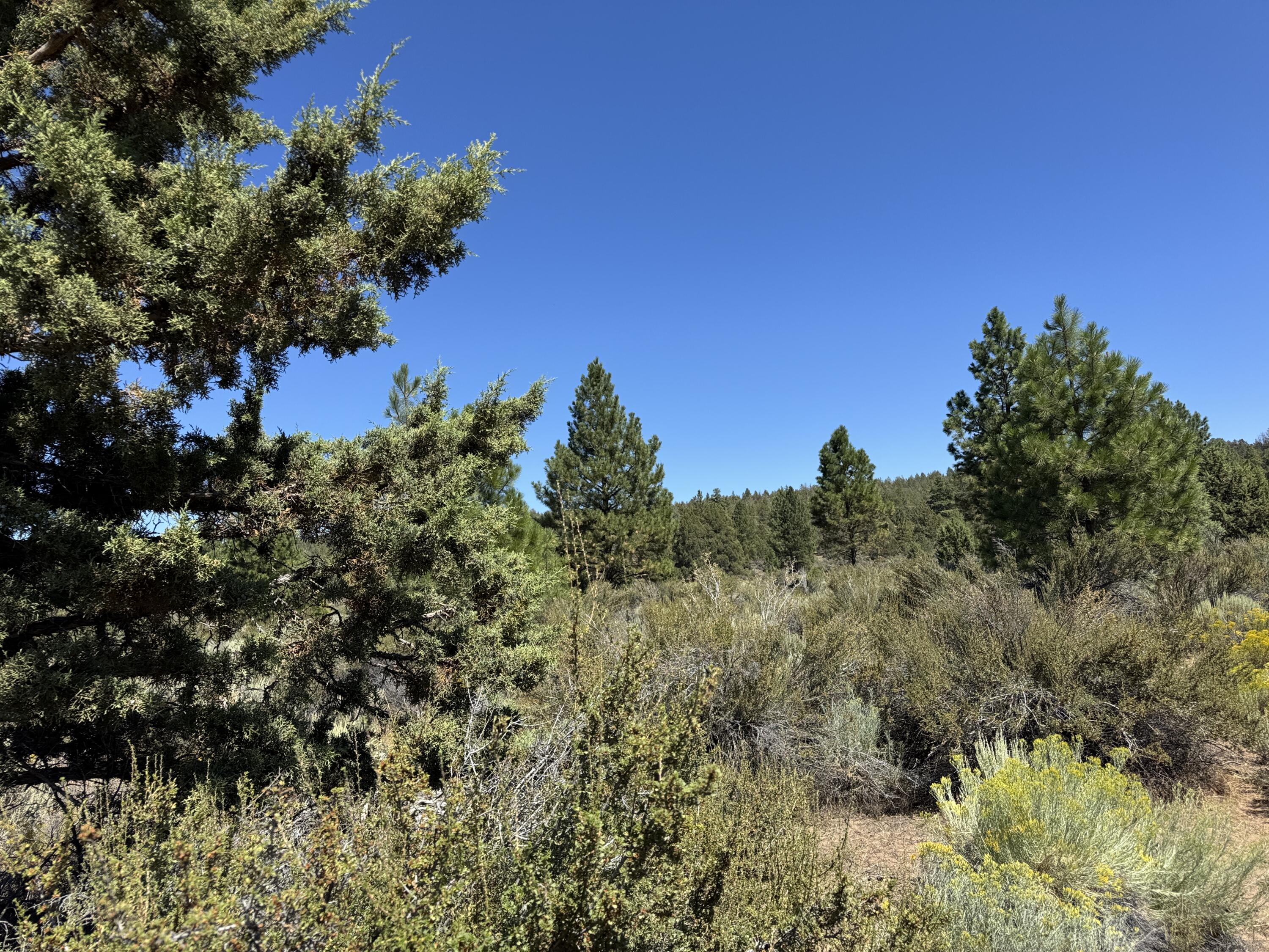 Klamath Forest Estates - Land