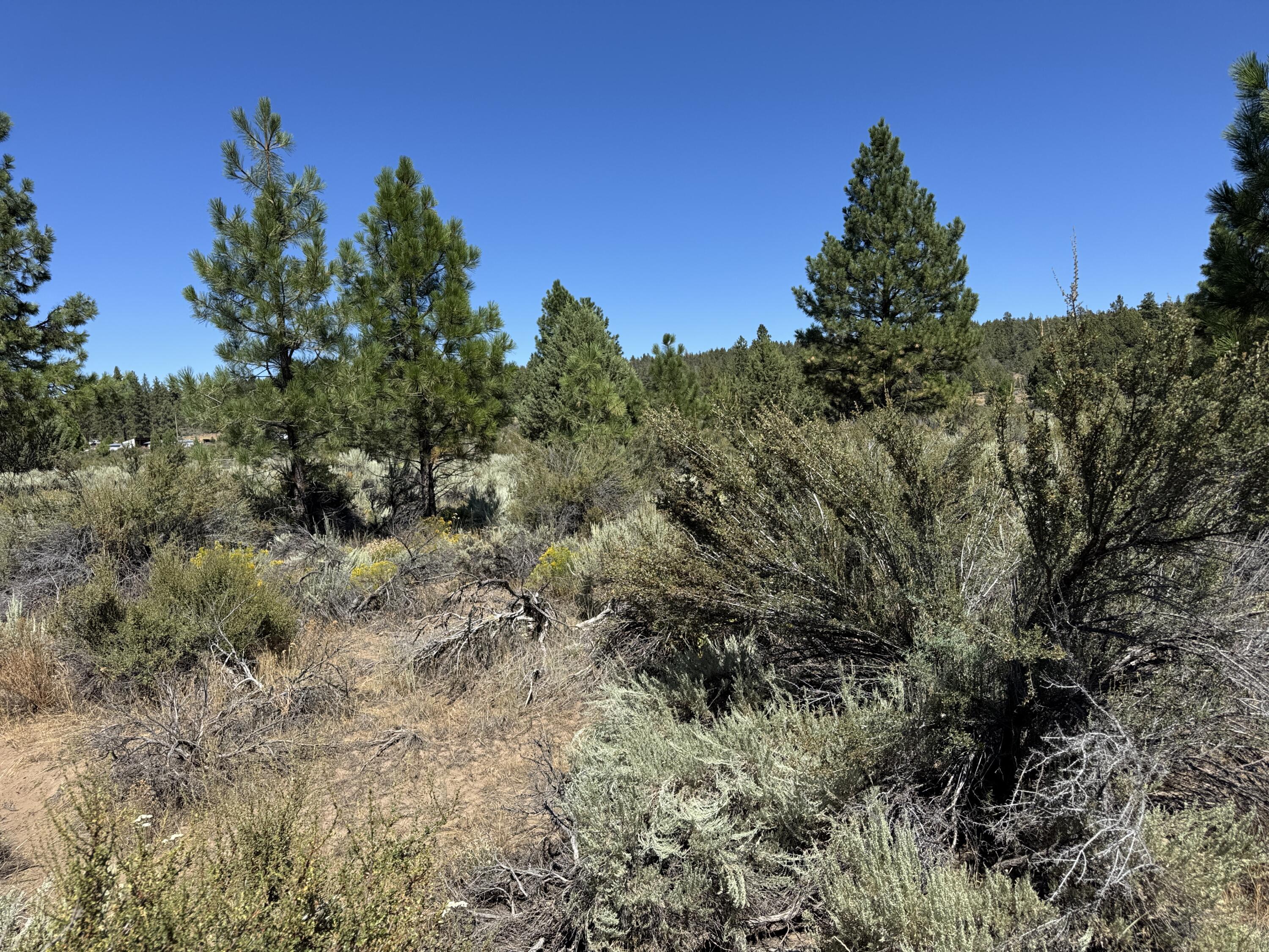 Klamath Forest Estates - Land