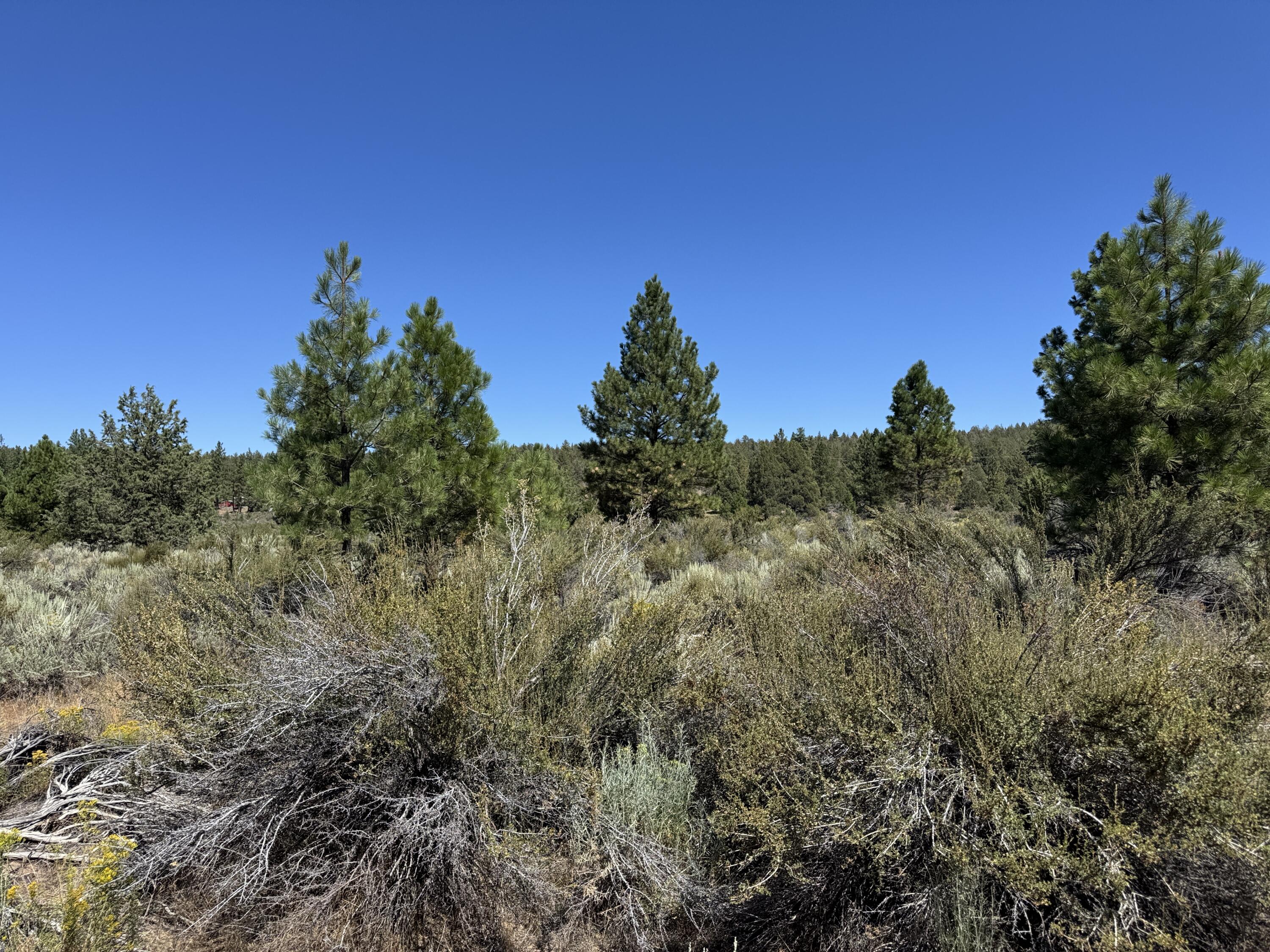 Klamath Forest Estates - Land