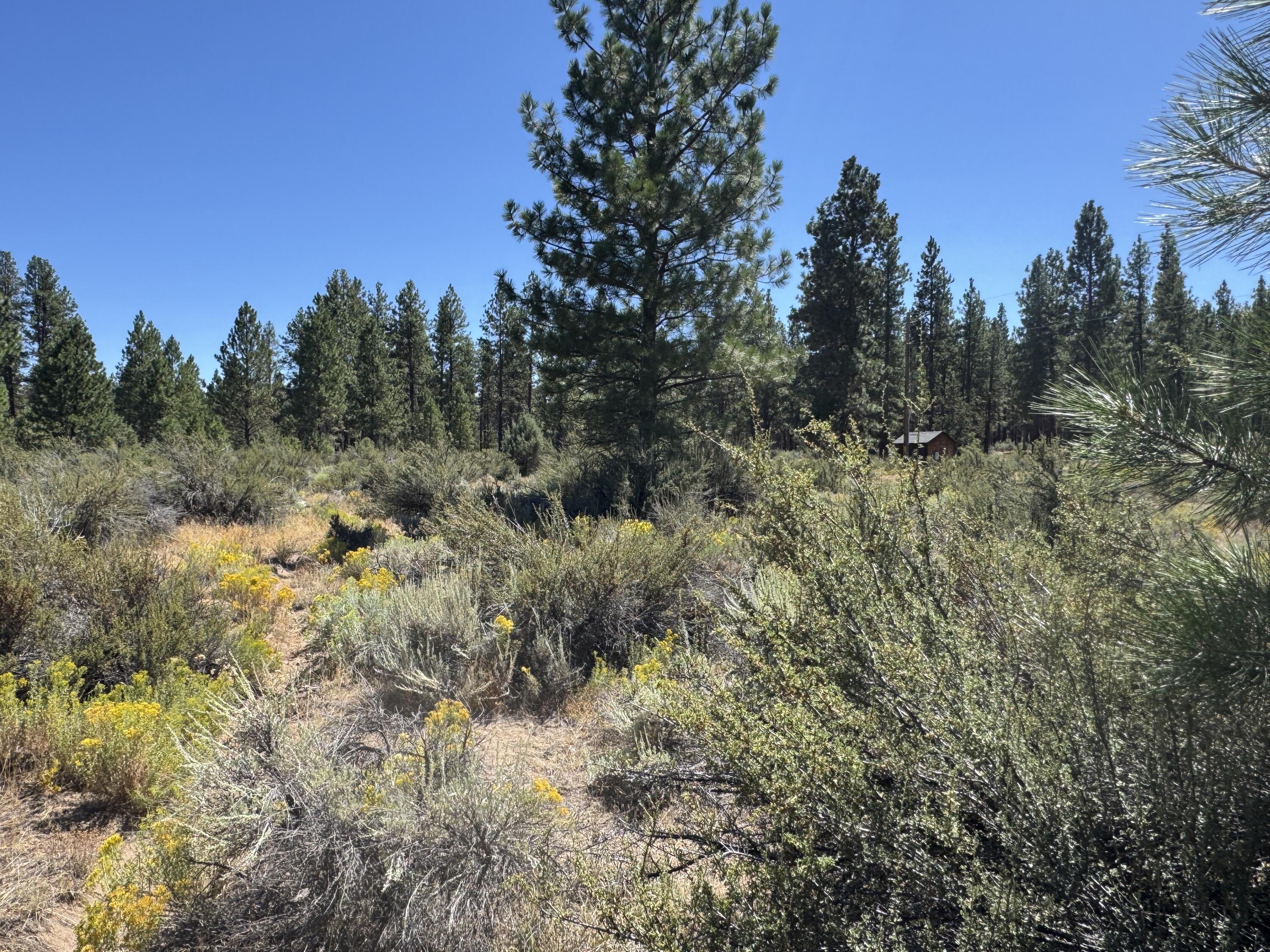 Klamath Forest Estates - Land