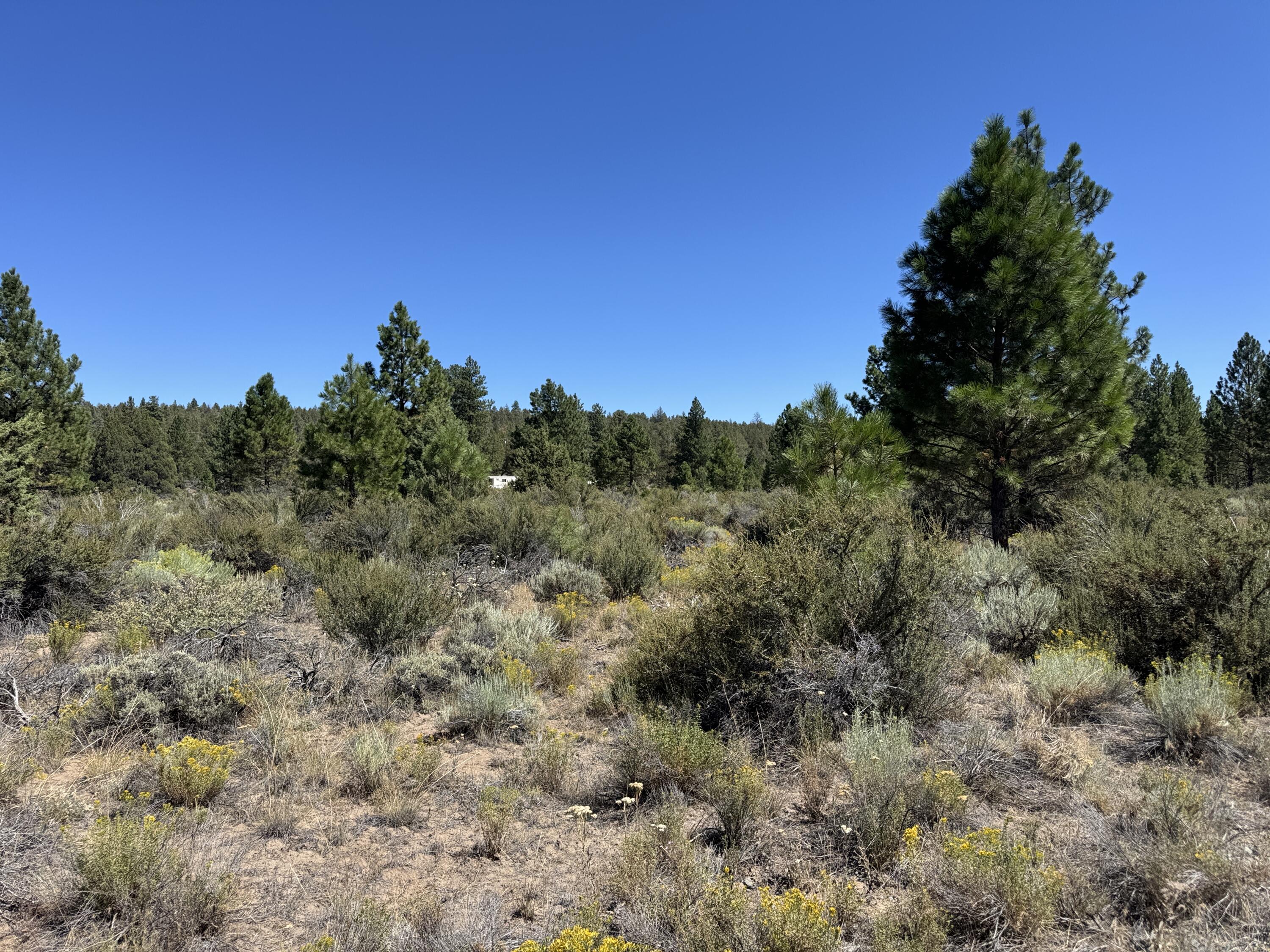Klamath Forest Estates - Land