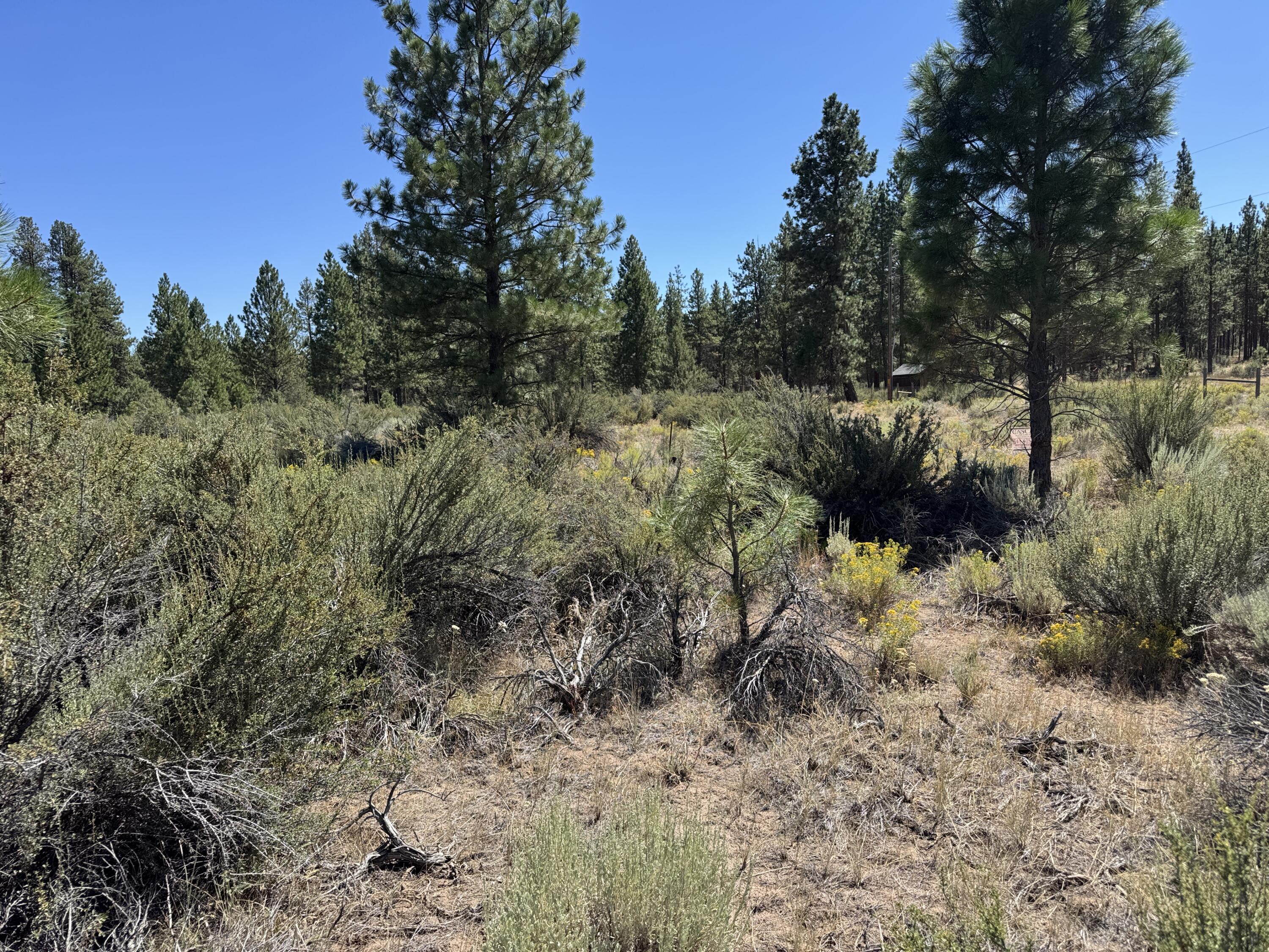 Klamath Forest Estates - Land