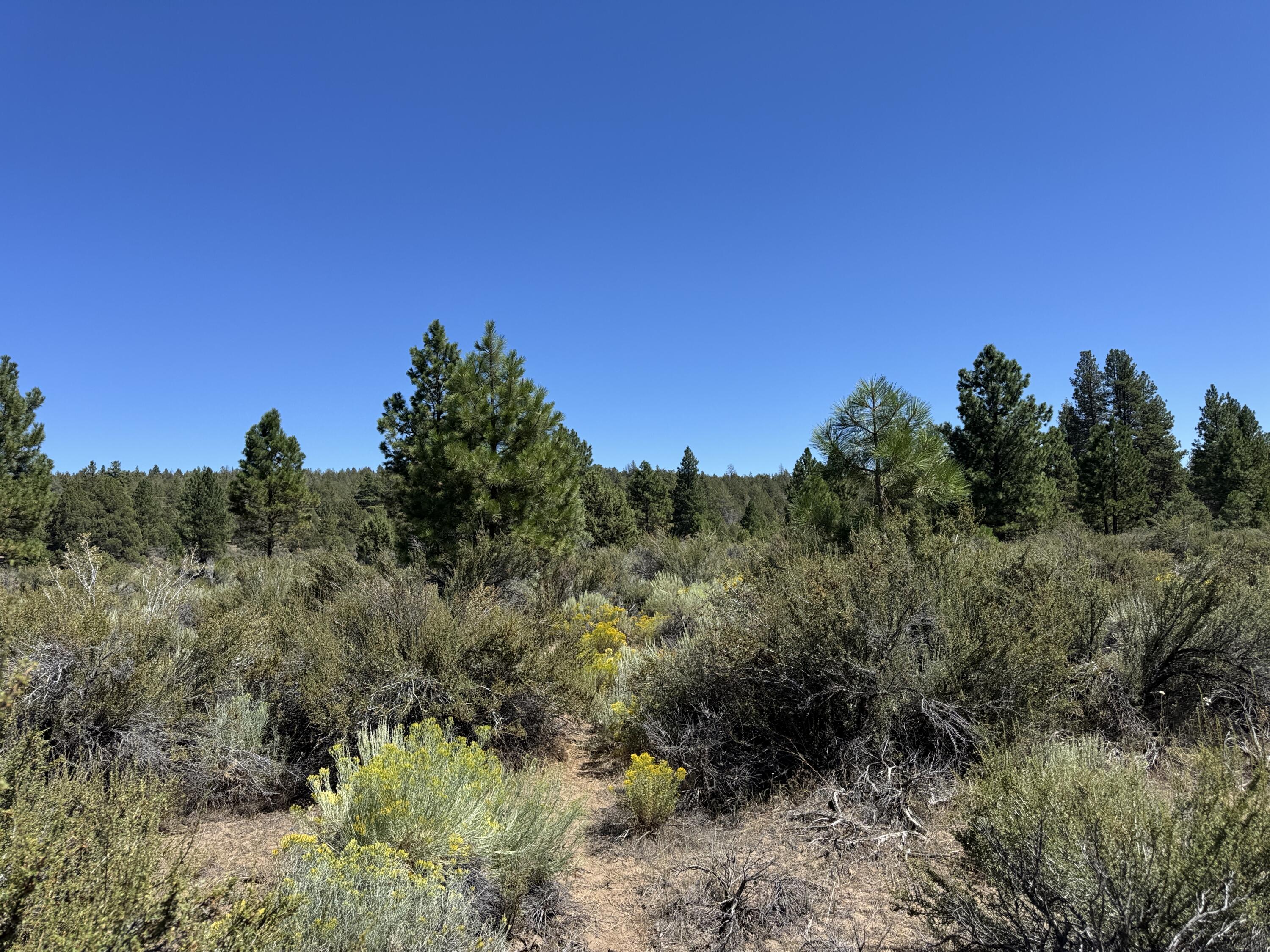 Klamath Forest Estates - Land