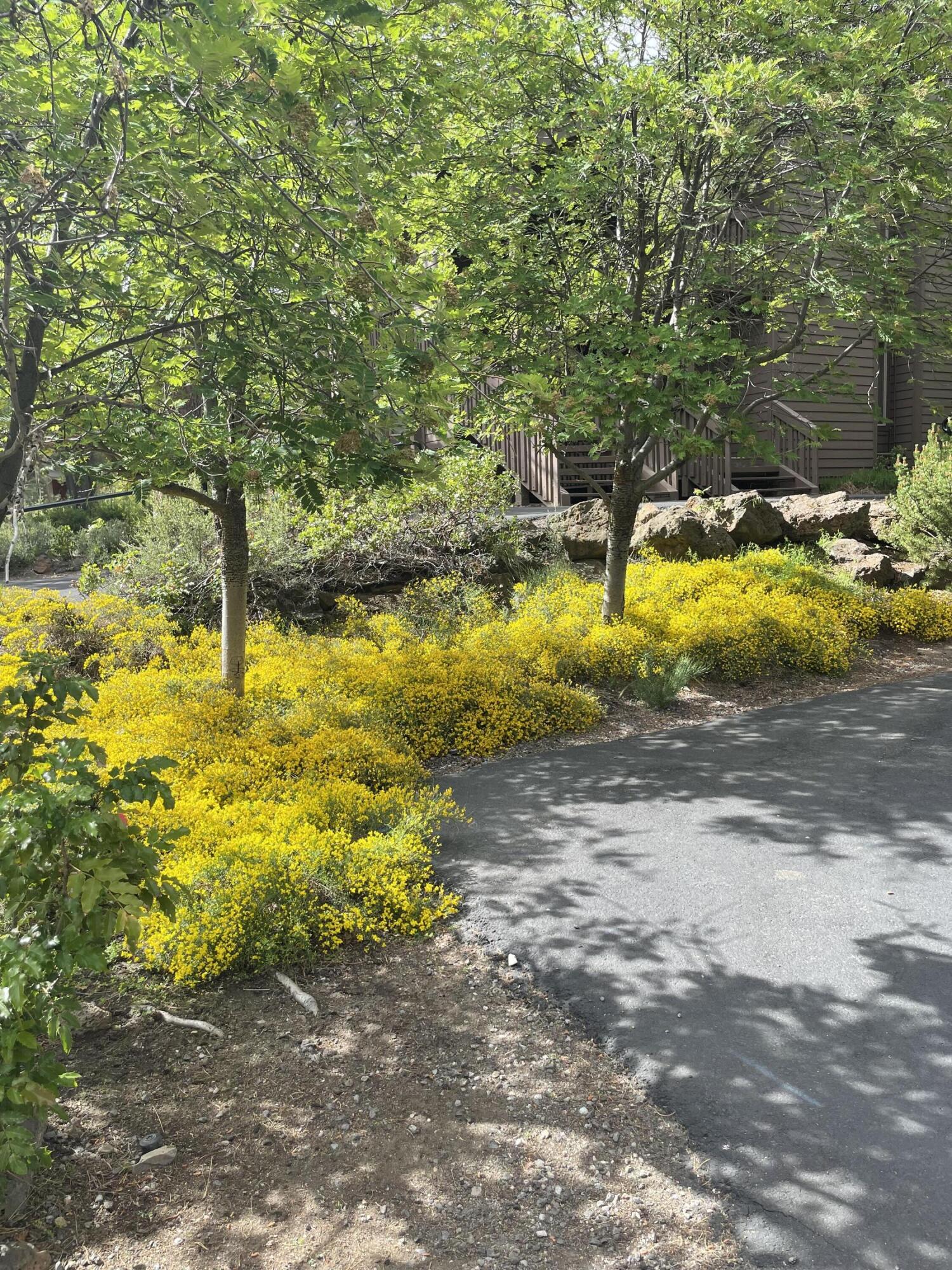 The Ridge - Residential