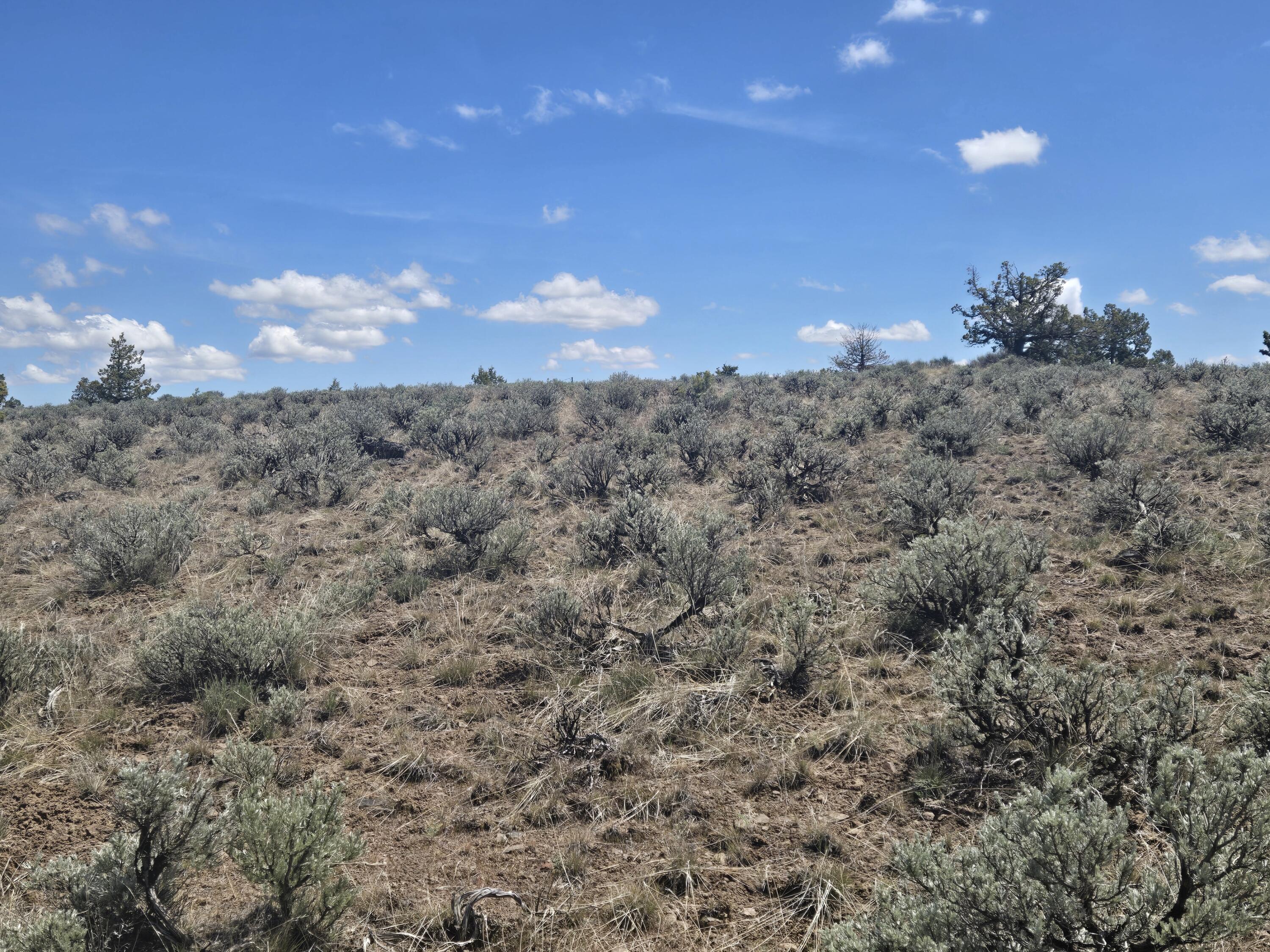 Ochoco Land + Livest - Land