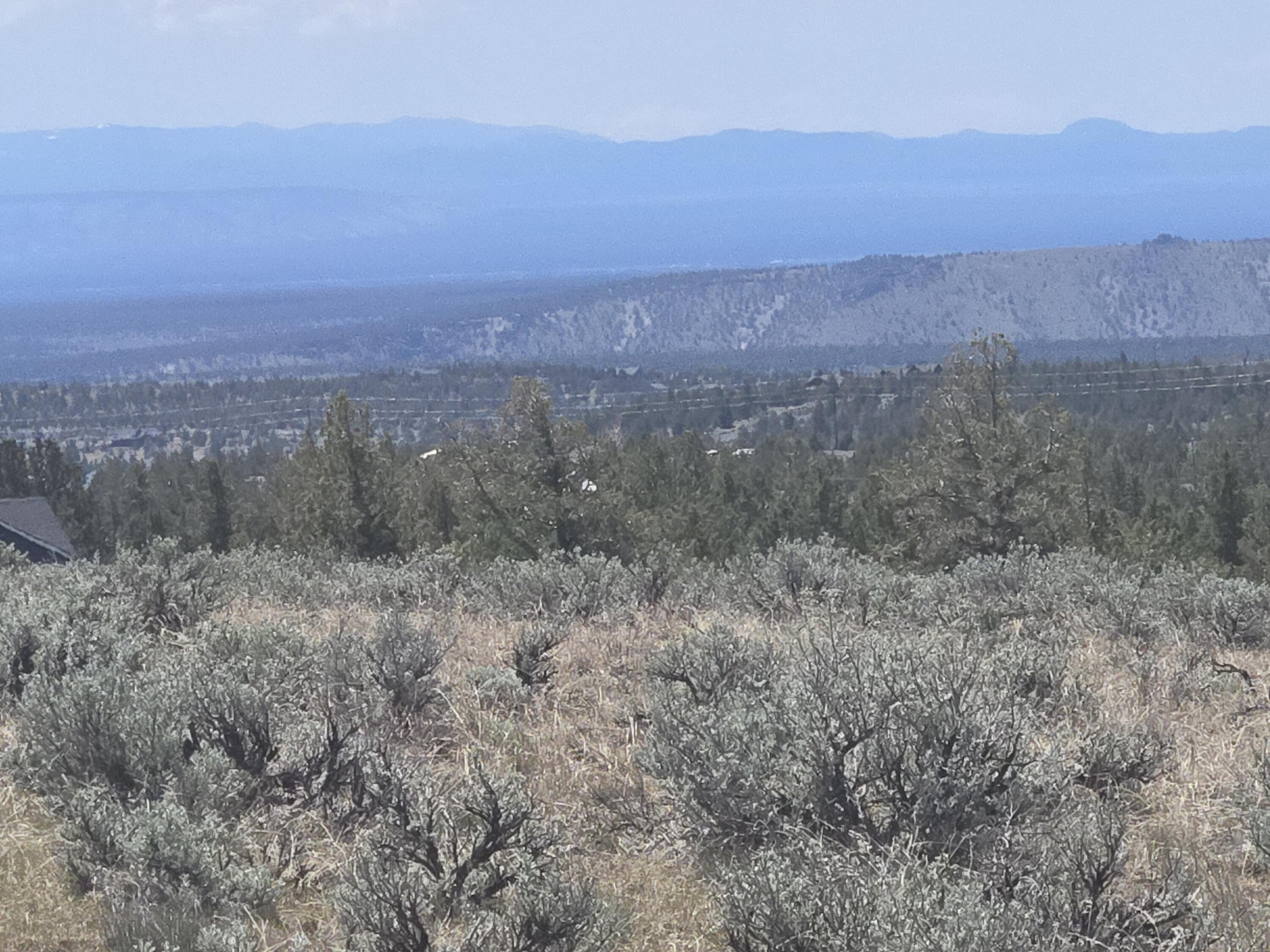 Ochoco Land + Livest - Land